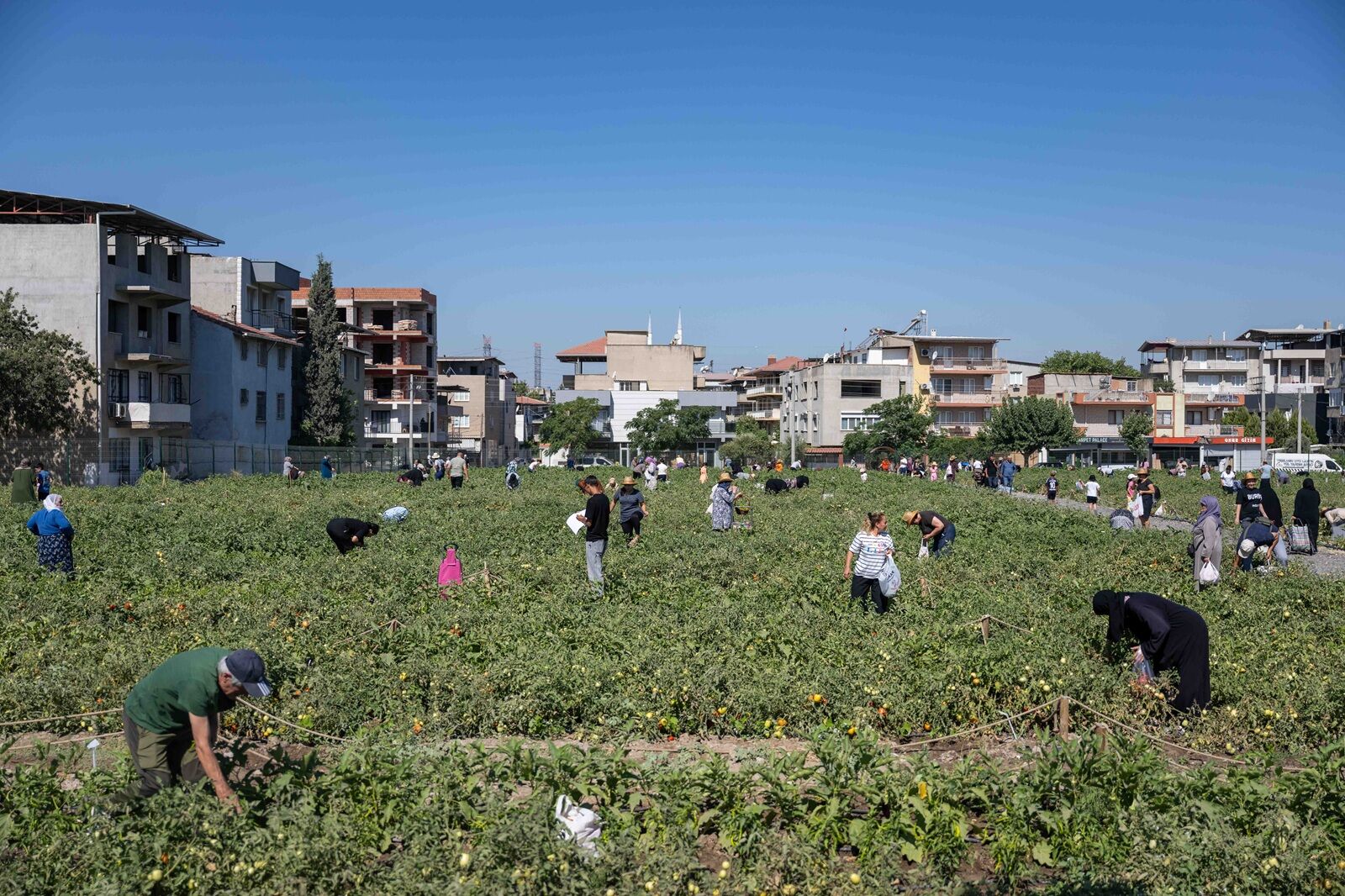 A R K 0179 2