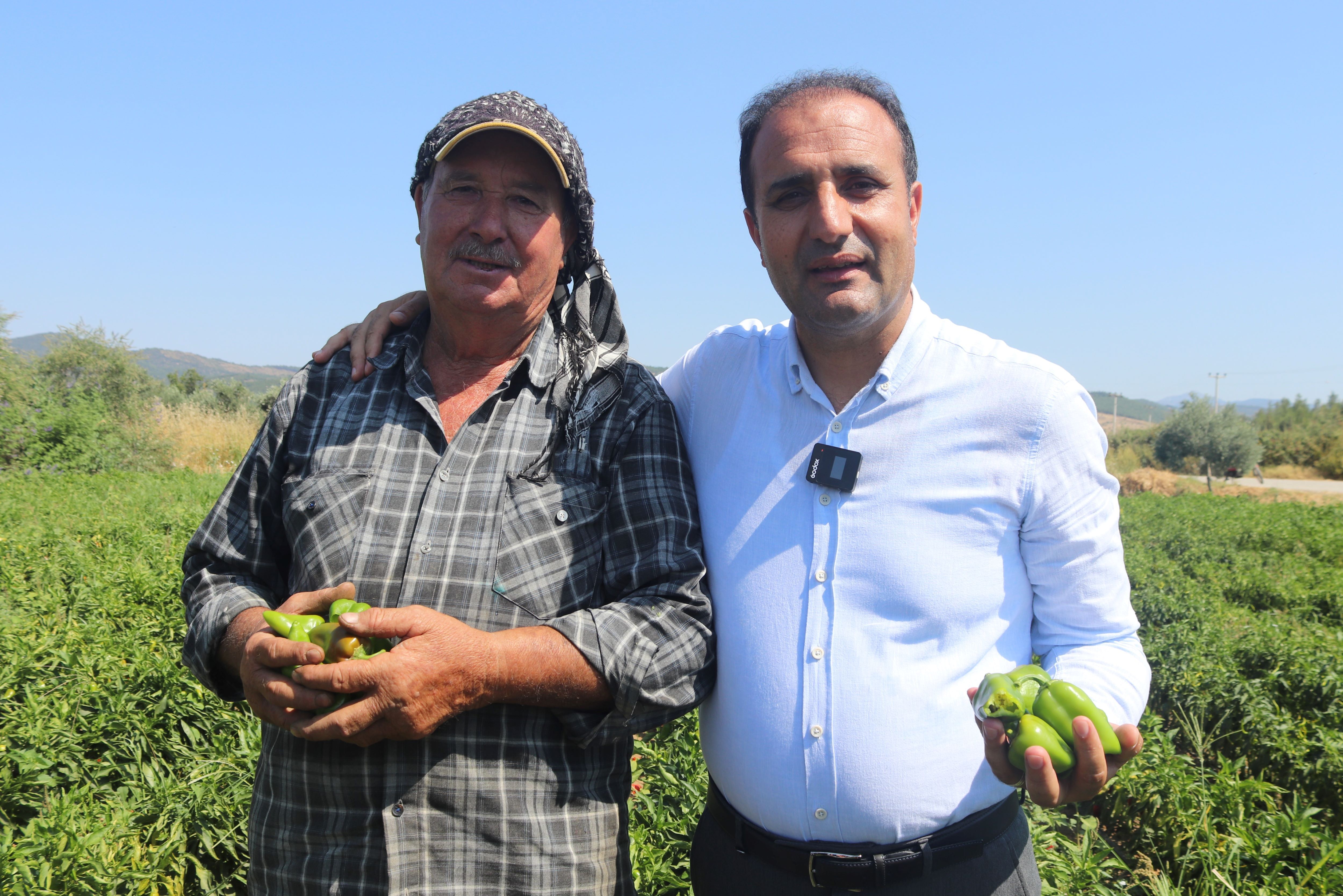 Acımızı Yarıştıralım (7)
