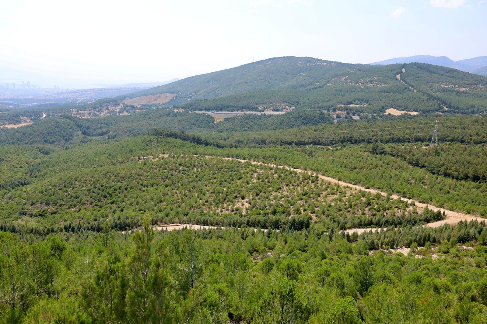 Bilal Saygılı (2)-1