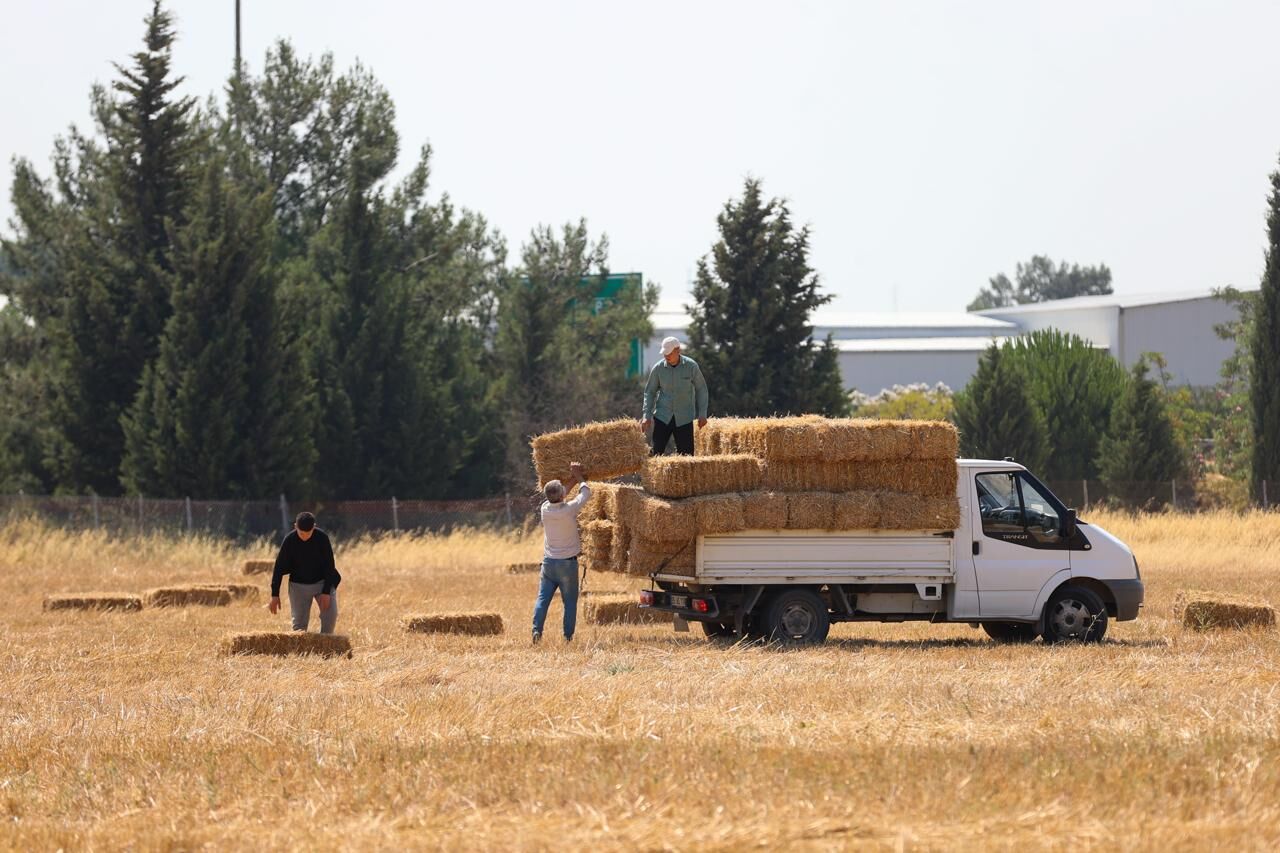 Buca Saman Desteği (4)