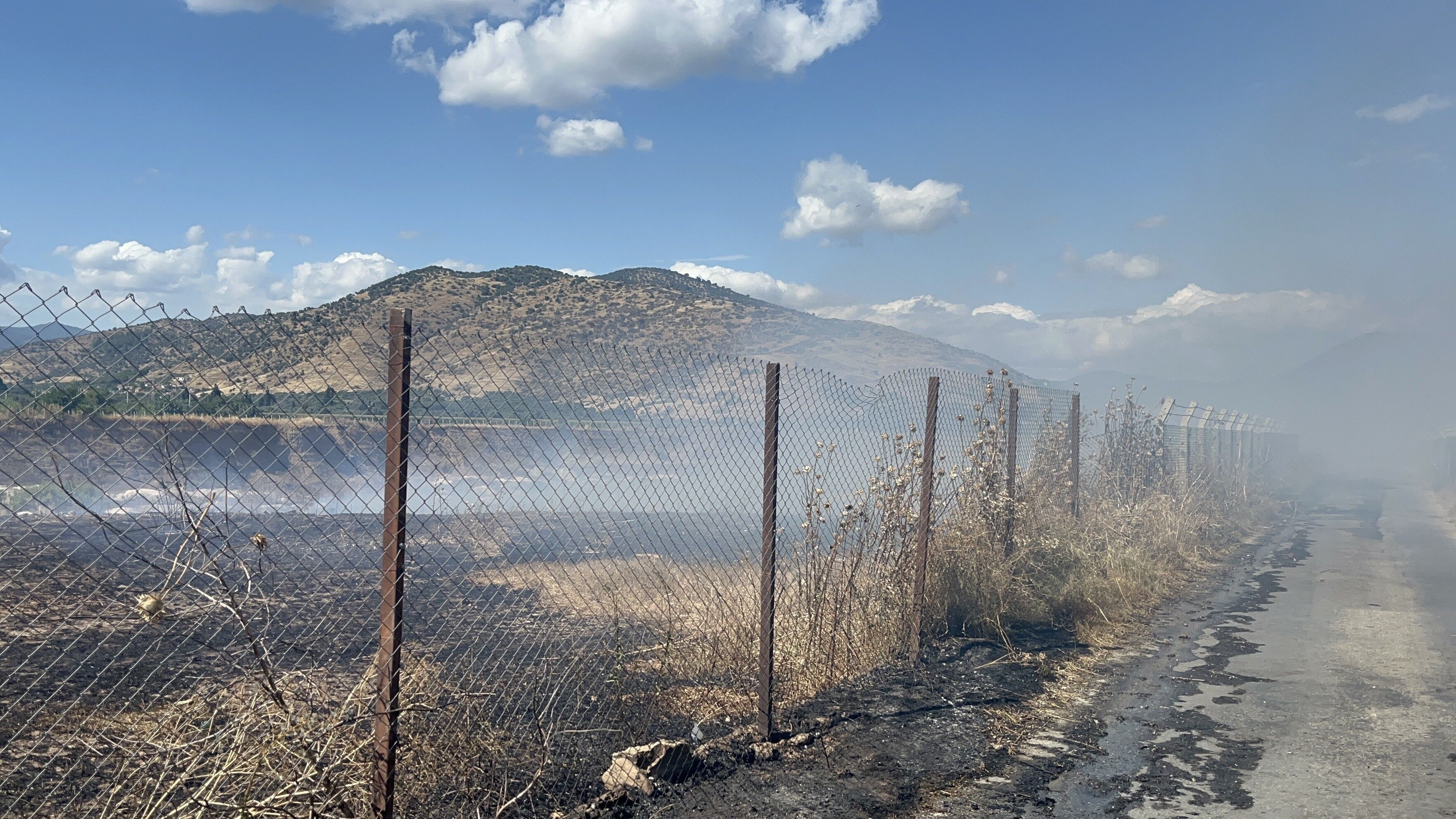 İzmir'in Bayındır Yangın (3)