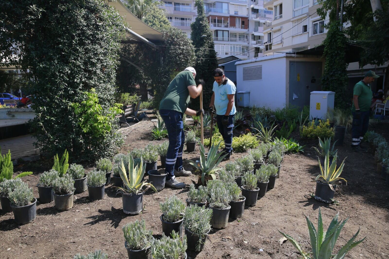 Konak’ın Parklarında Bakım Seferberliği (4)