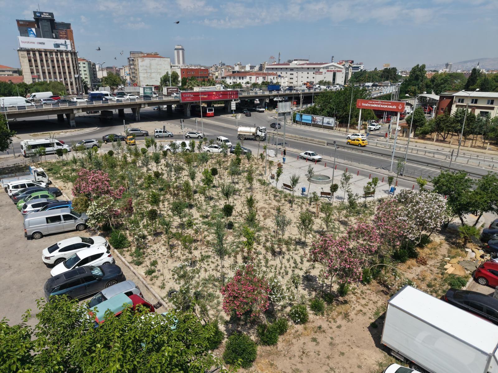 Orman (2)