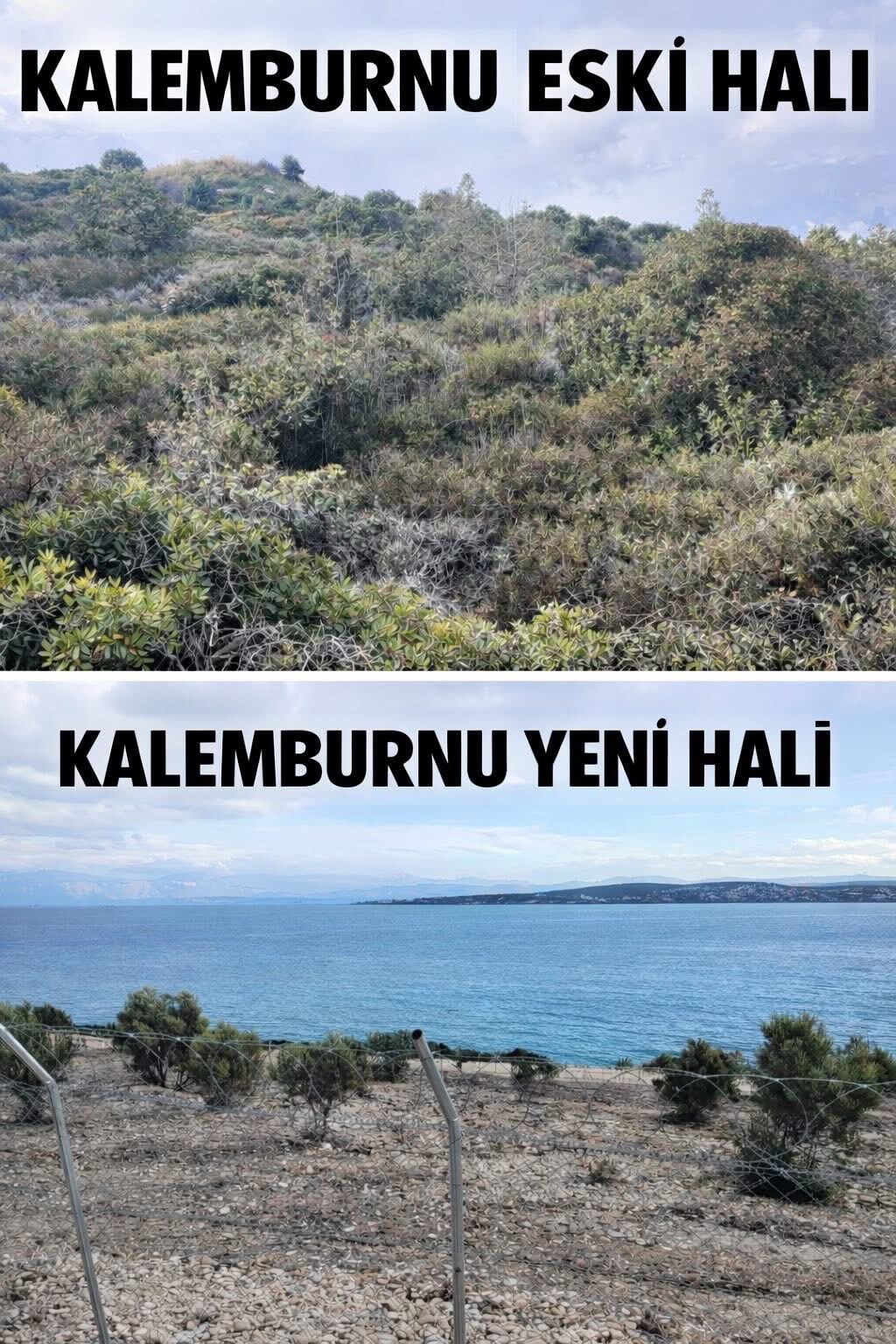 Çeşme’de çevreciler ve doğa kazandı: Kalemburnu’ndaki hukuksuz tahribat durduruldu!