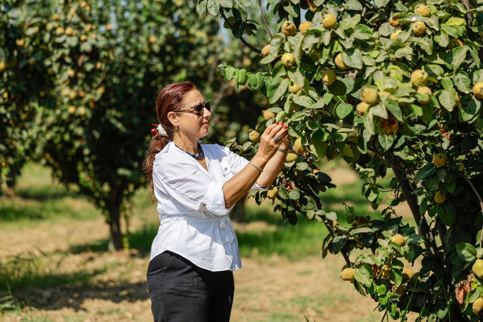 2 Bin Dönüm Arazi (9)