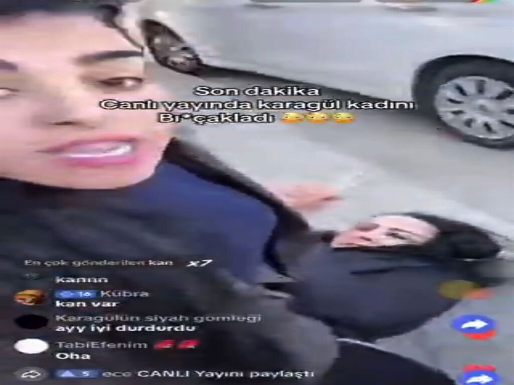C A N L I Y A Y I N Y A P A R K E N T A R T I S T I G I K A D I N I B 1467288 436550