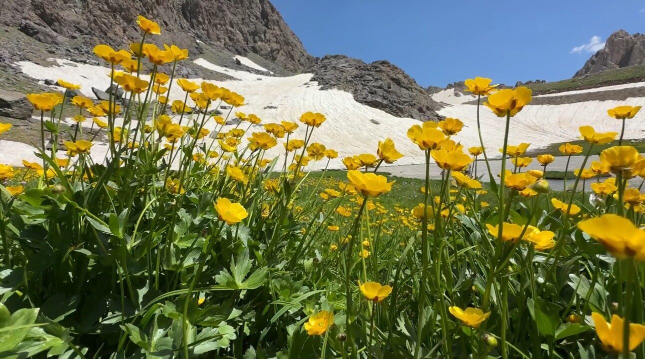 Hakkari'nin Yüksekova Ilçesinde (1)