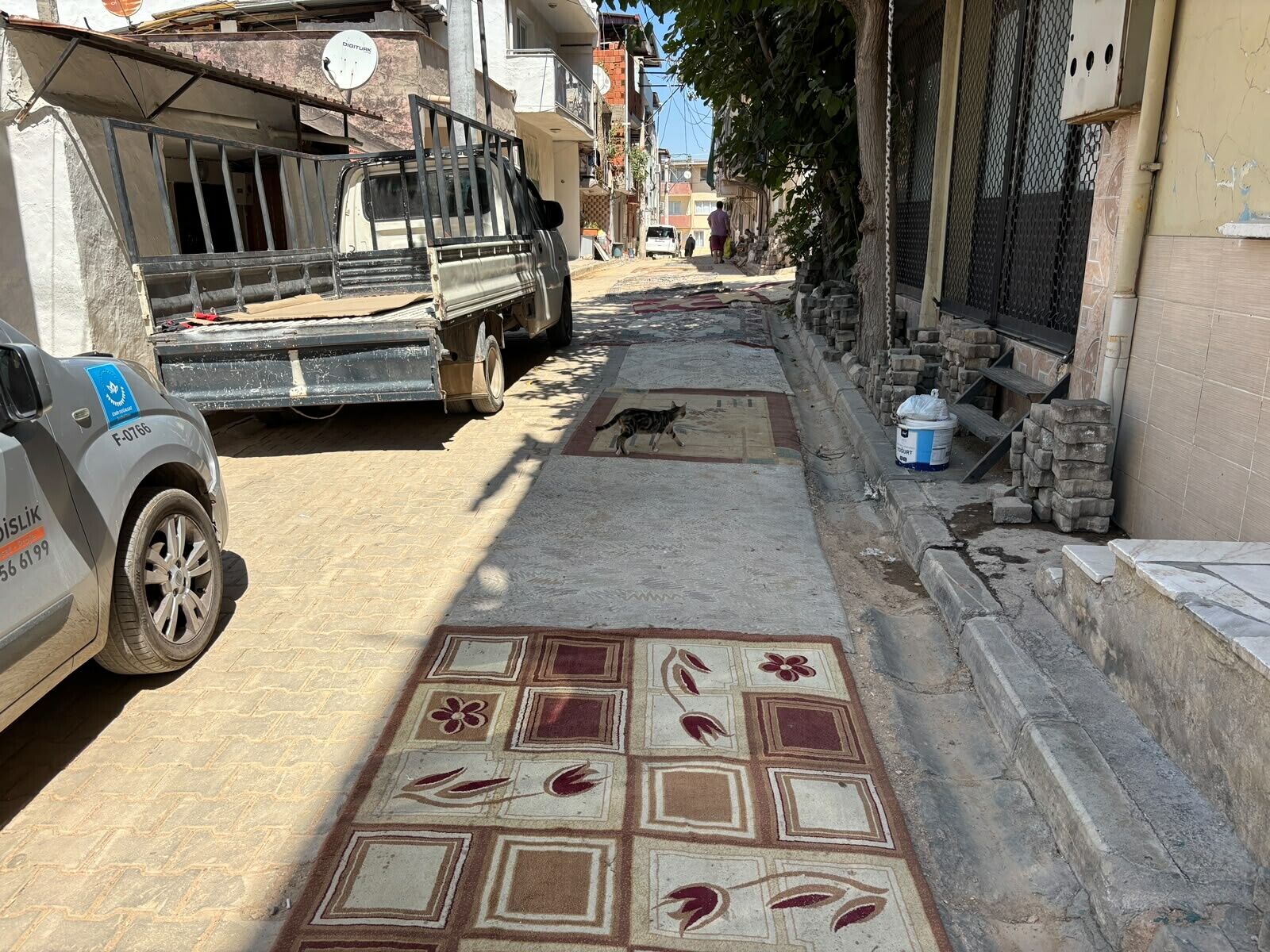 Halı Serdi (2)