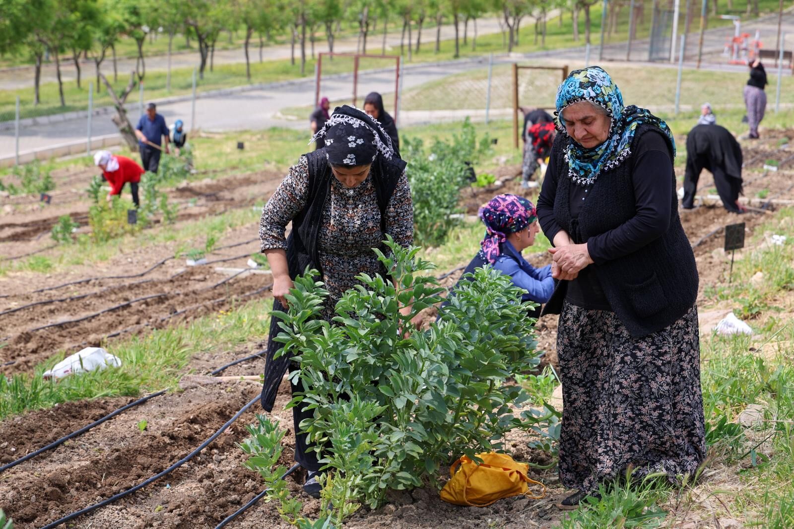 İzmir Büyükşehir Belediyesi’nin (1)-3