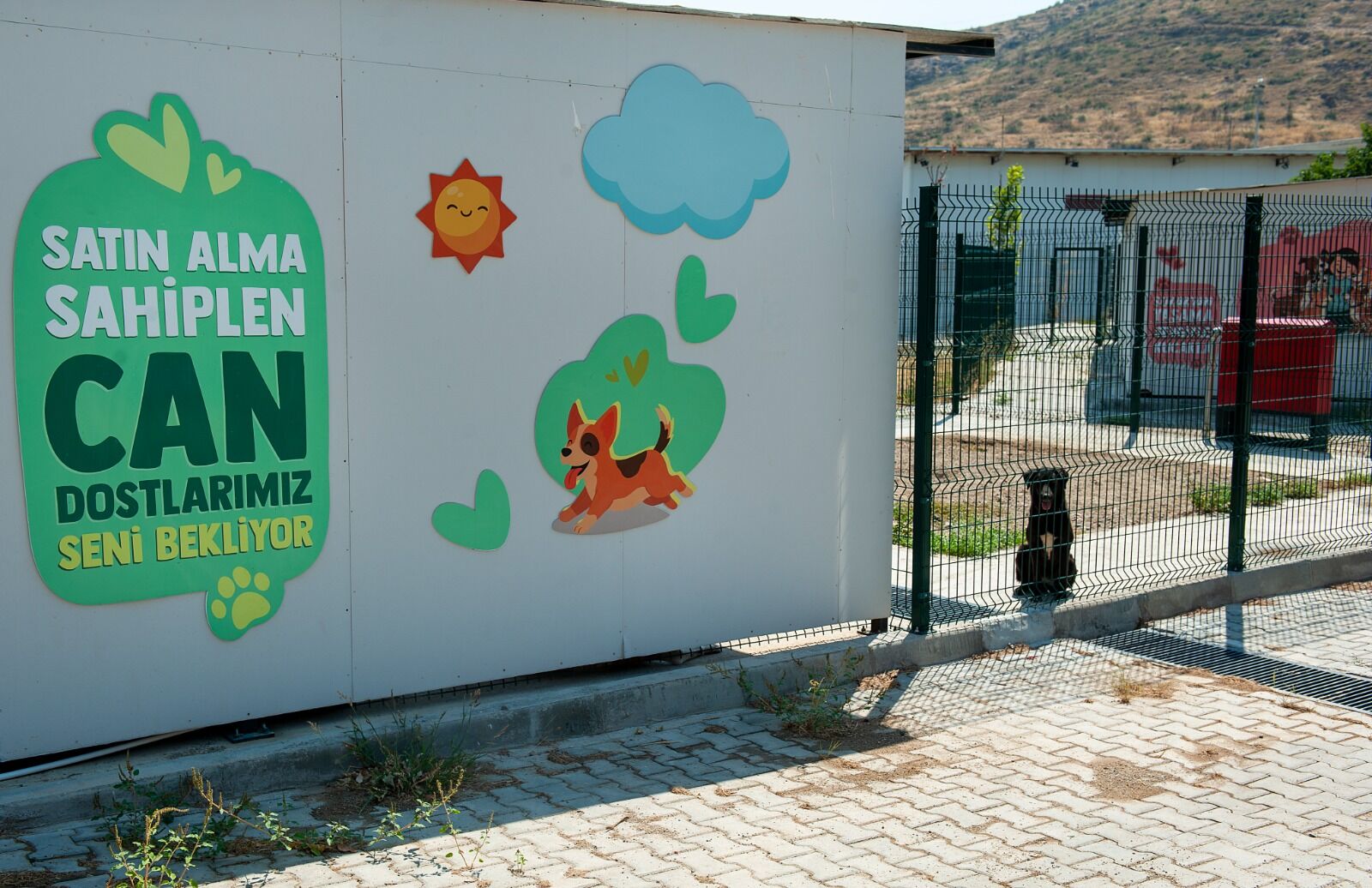 Karşıyaka (3)-5