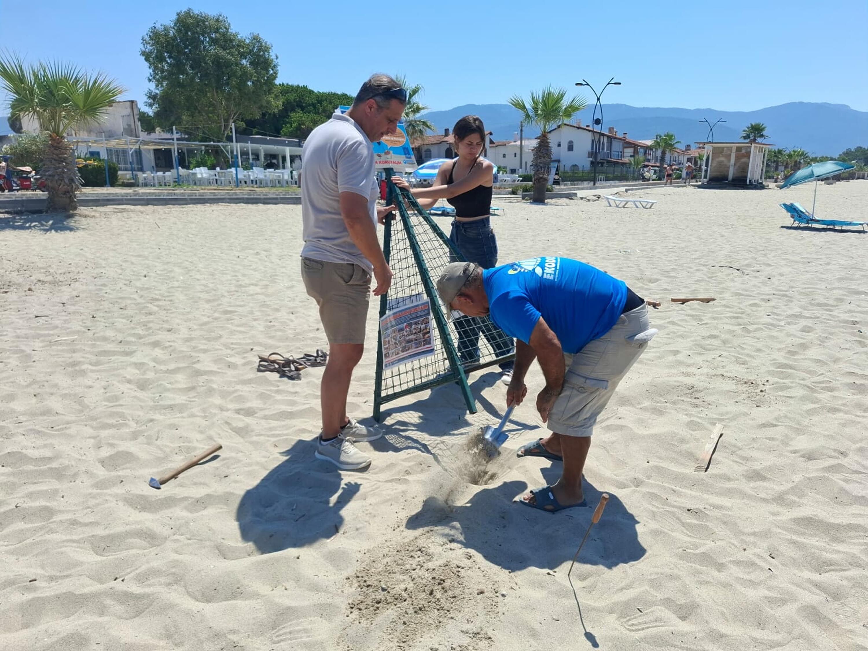 Kusadasi’nda Caretta Caretta Yavrulari D 1472464 438125 (1)