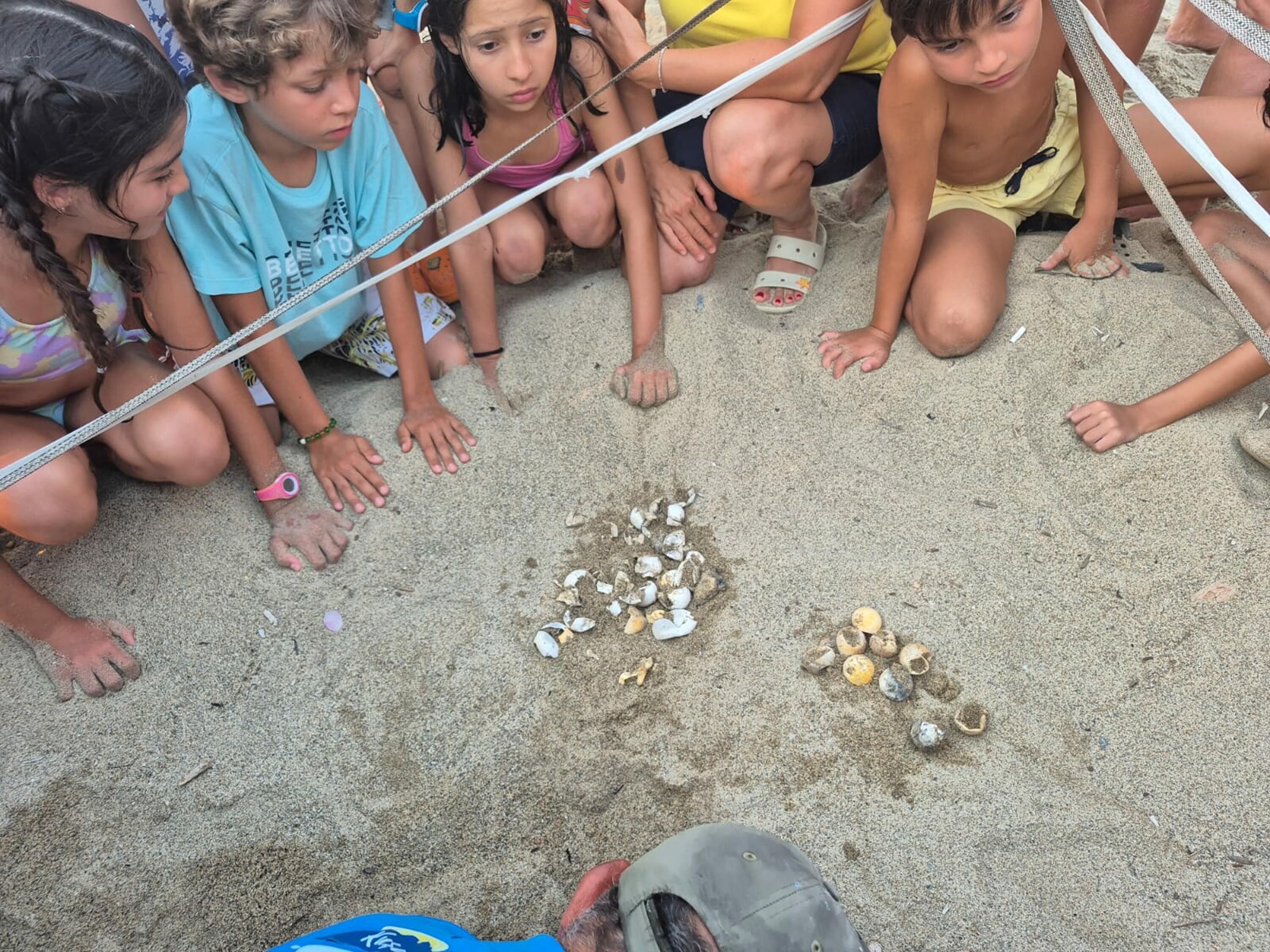 Kusadasi’nda Caretta Caretta Yavrulari D 1472465 438125 (1)