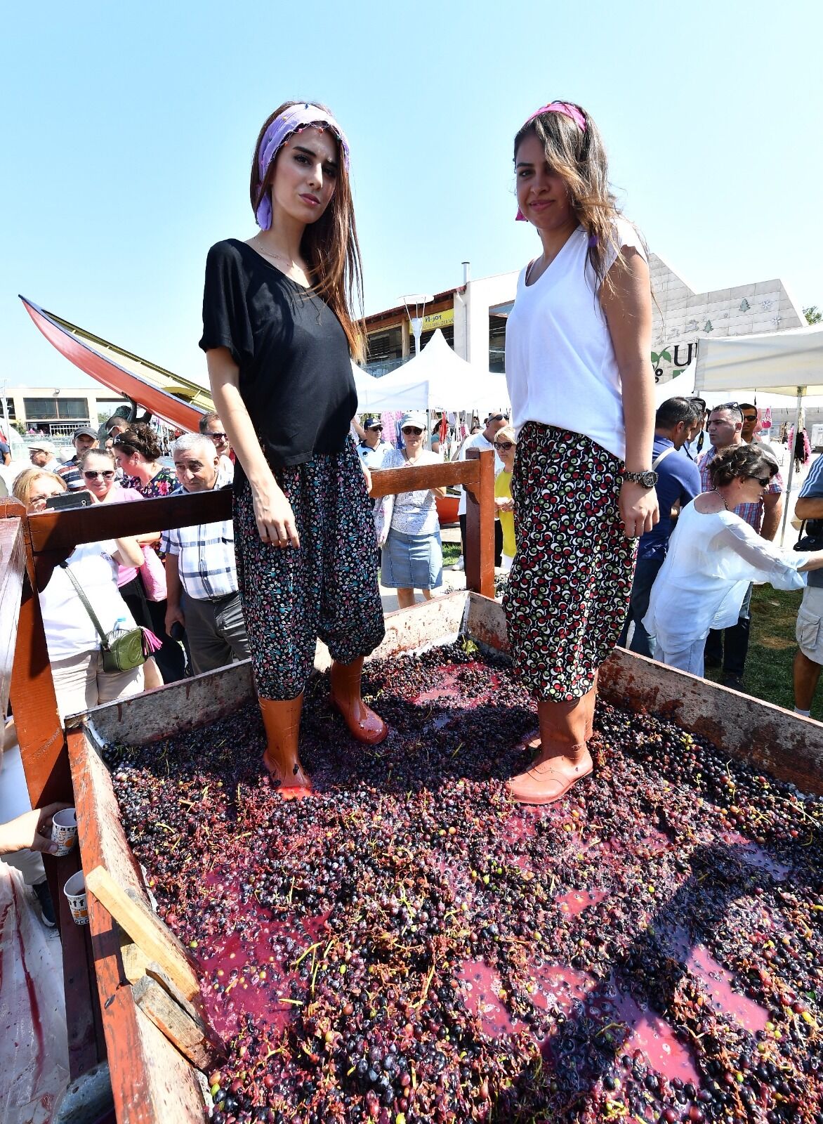Urla’da 2600 Yıllık Gelenek Bağbozumu Şenlikleri Başlıyor (4)