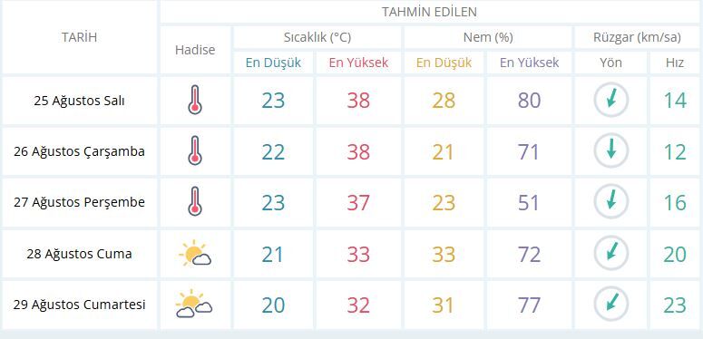 Manisa hava-29