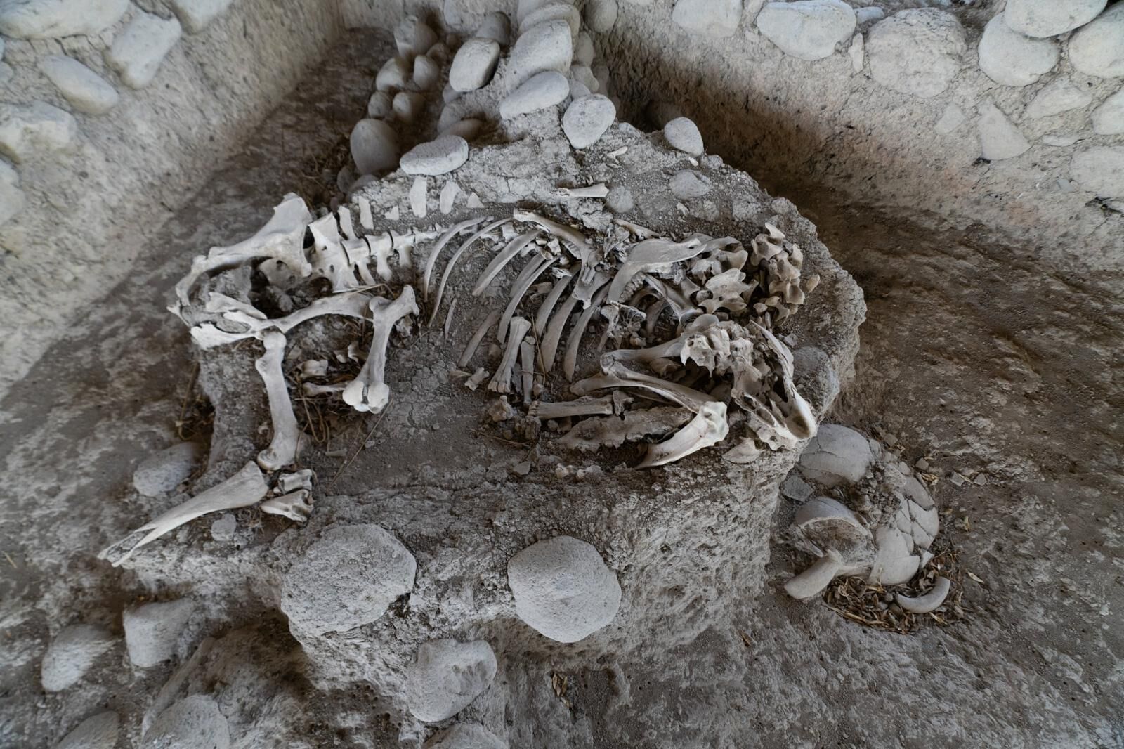 22.09.2026 8C9C89 Yassıtepe kazıları, yaklaşık 5 bin yıl önce Bornova Ovası’nda gelişen planlı kent yaşamına ışık tutuyor.
