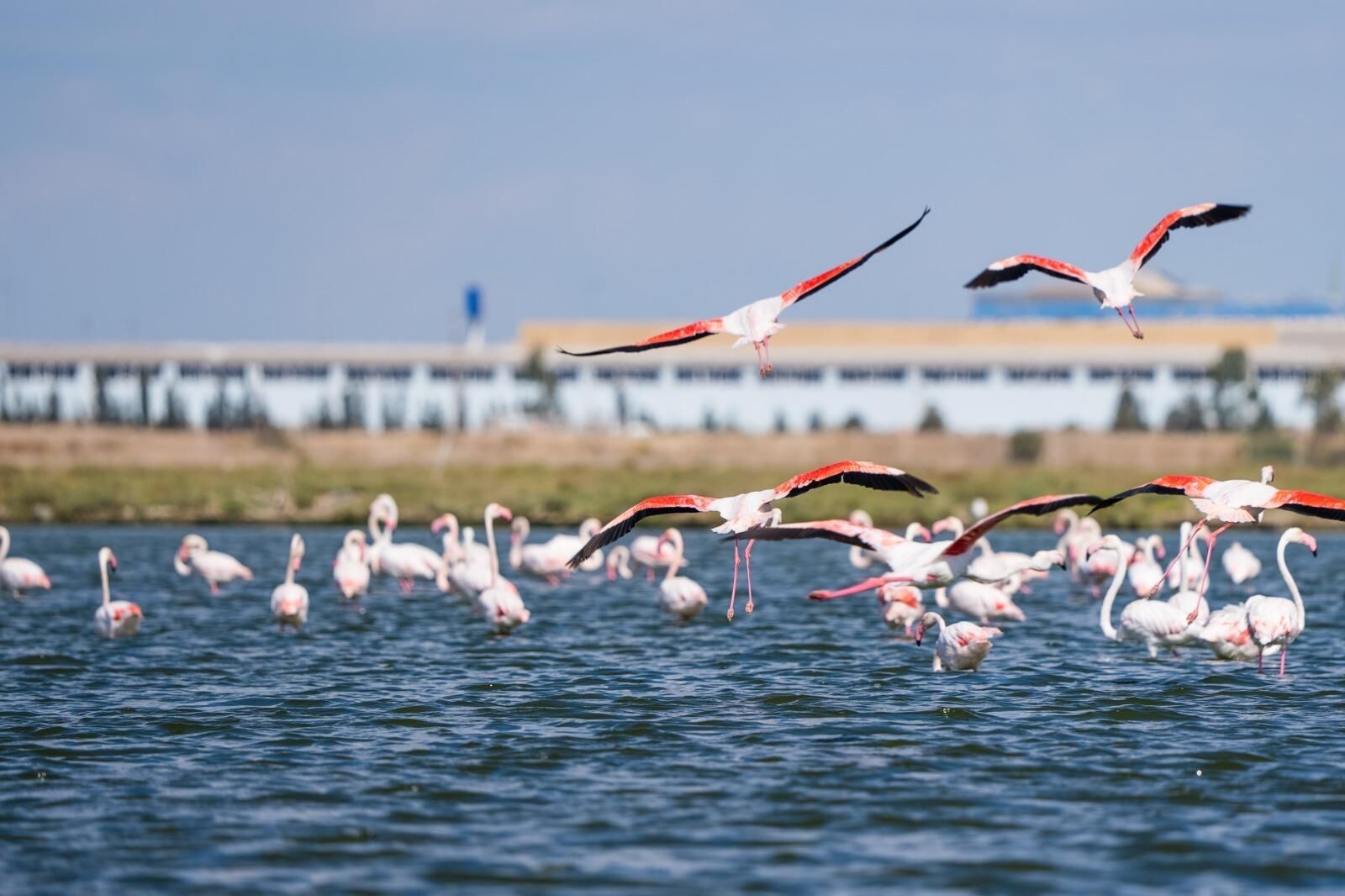 24.09.20İzmir’de ulaşım tercihi karbon ayak izini etkiliyor