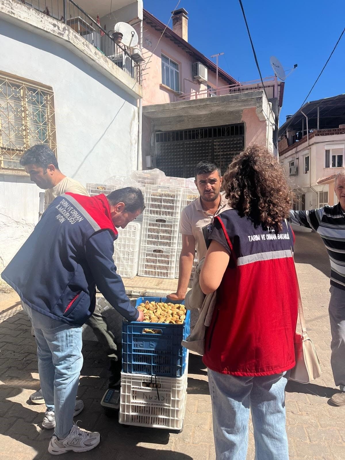 Aydın Incirinde Bozdoğan’da Saha Denetimi