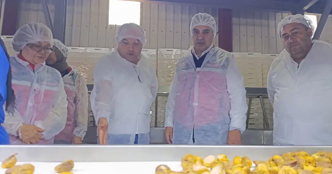Aydın Incirinde Tesis Denetimleri Sürüyor (2)