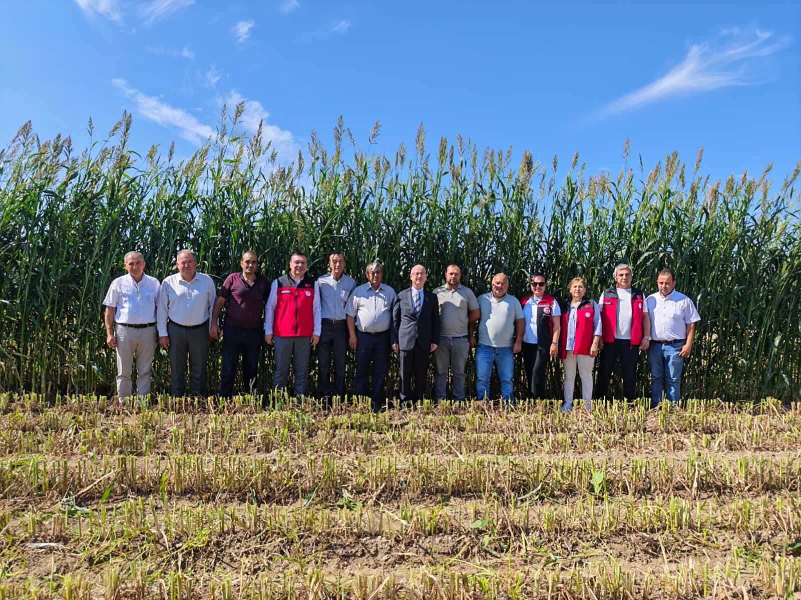Bergama’da 30 Dekarlık Alanda Hasat (1)
