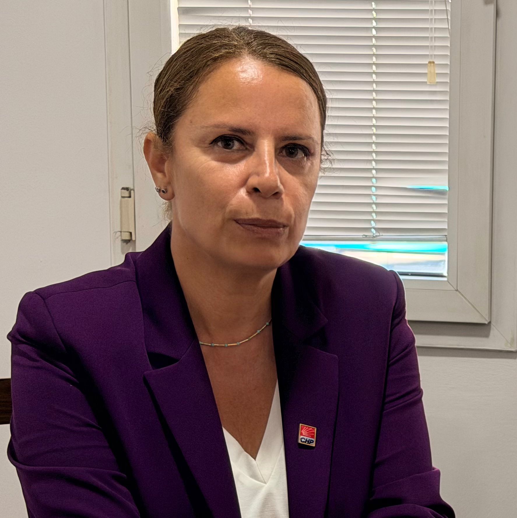 Chp Kadın Kolları Genel Başkanı Ayten Gülsever, (1)