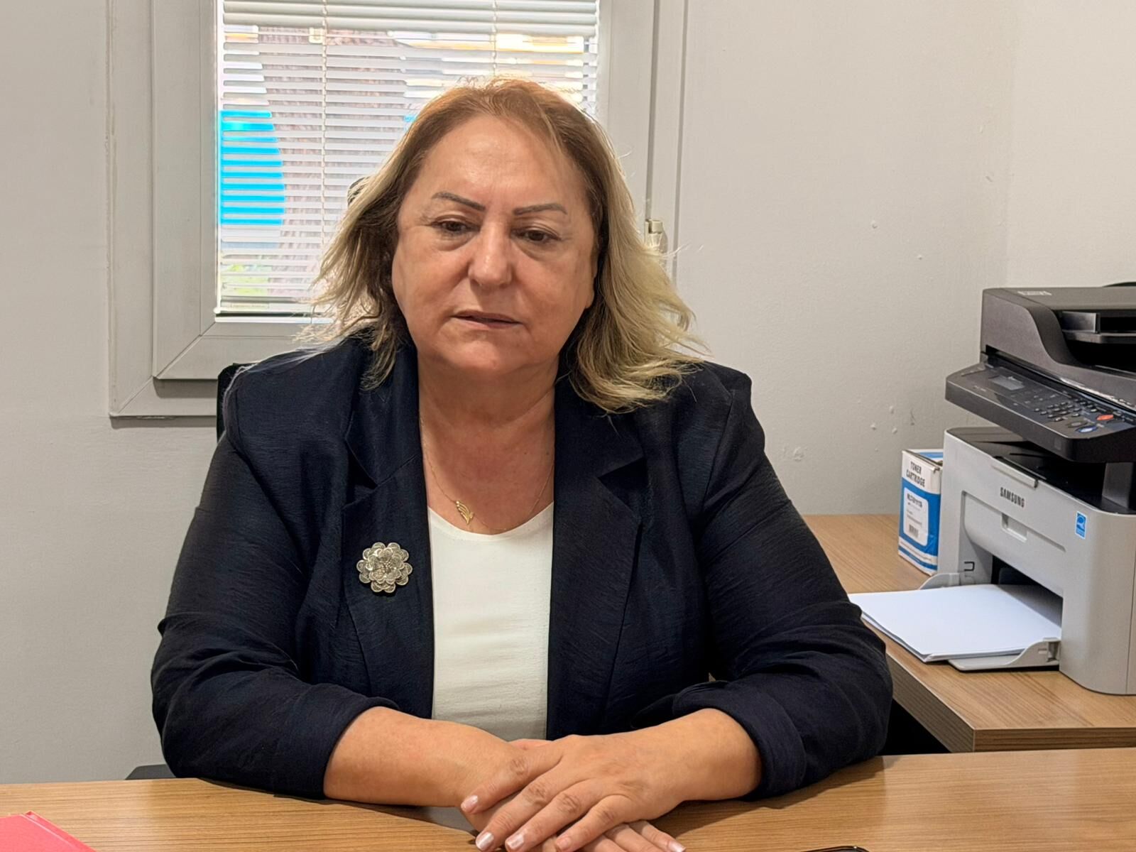 Chp Kadın Kolları Genel Başkanı Ayten Gülsever, (2)