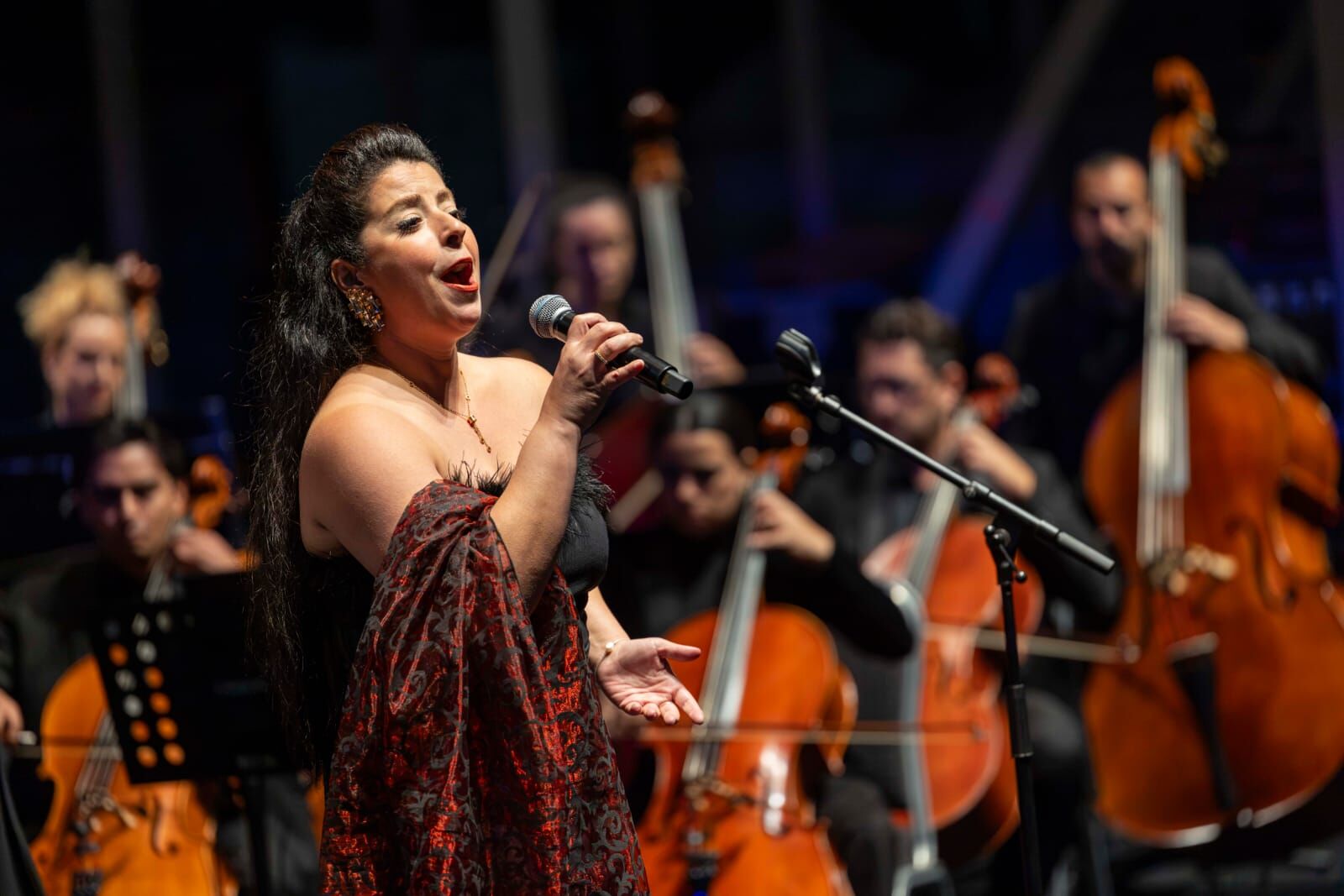 İzmir Oda Orkestrası, (3)