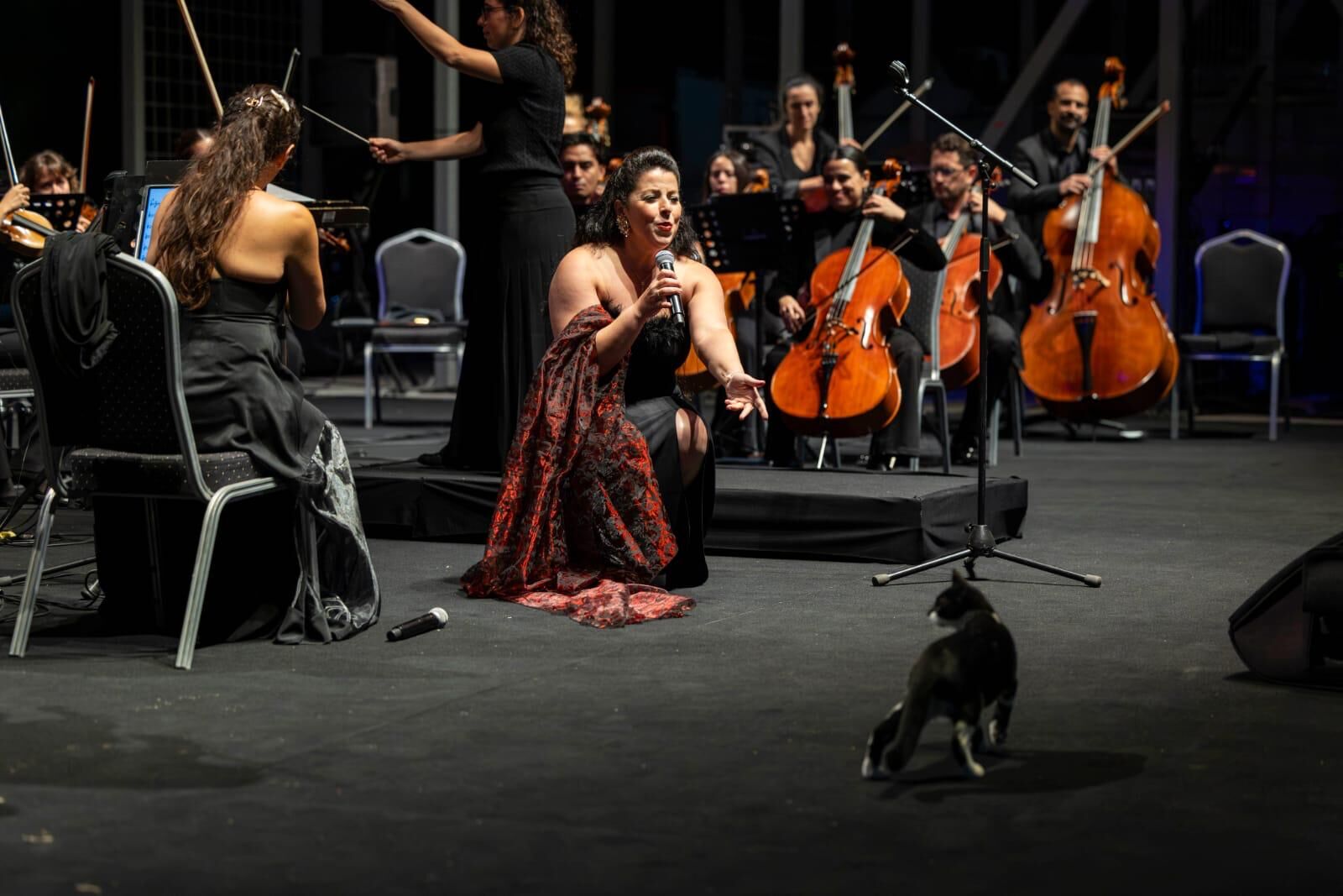 İzmir Oda Orkestrası, (5)