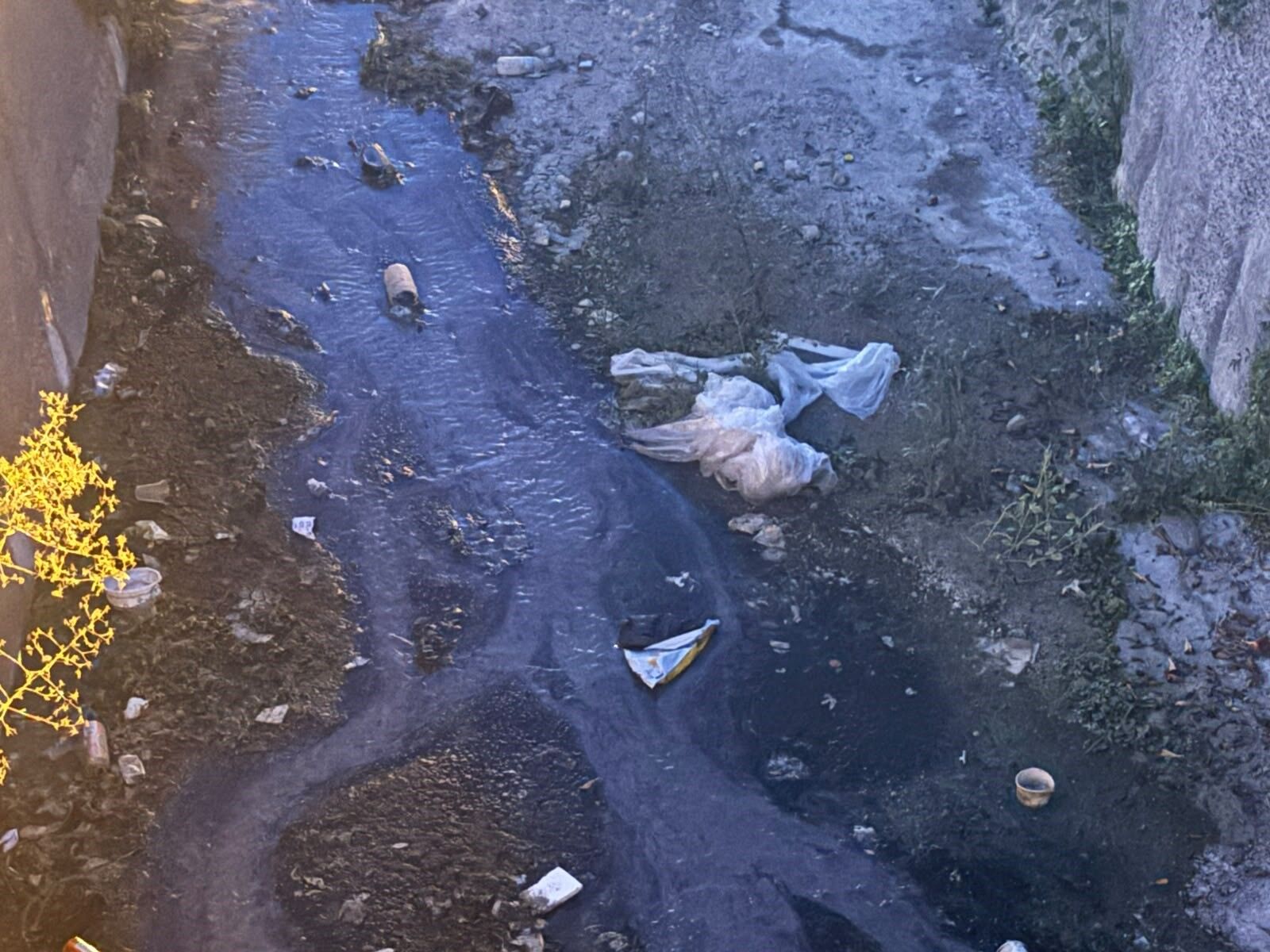 İzmir’in Urla Ilçesinde Bir Deredeki Kirlilik Ve Kötü Koku, Vatandaşların Tepkisine Neden Oldu. Emekli Öğretmen Hakan Yağcı, Derenin Temizlenmesi Için Belediyeye Çağrıda Bulundu (1)