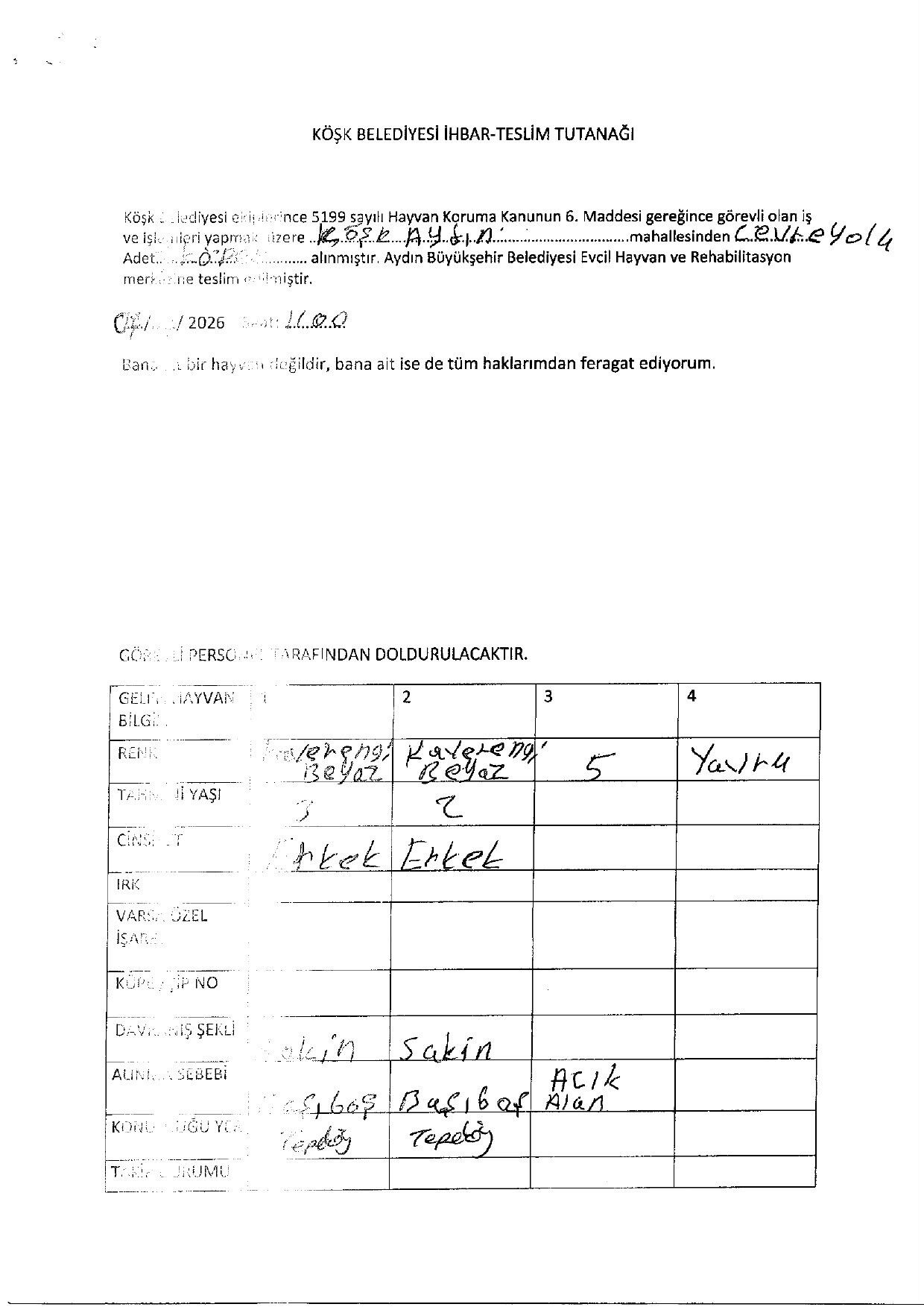 Köşk Belediyesi (2)