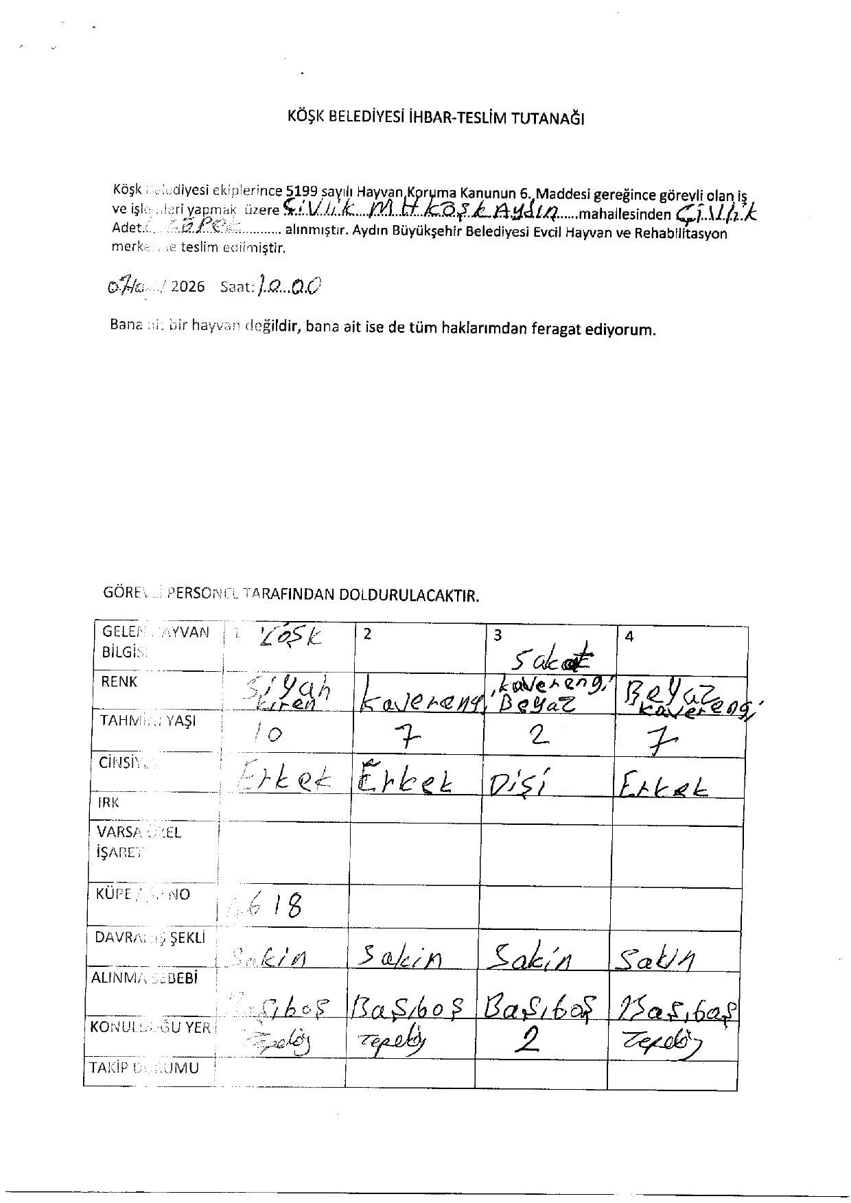 Köşk Belediyesi (3)