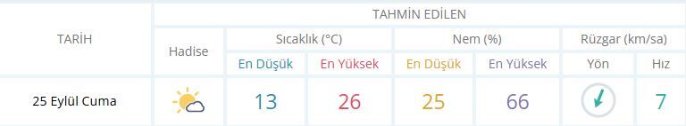 Manisa Hava-32