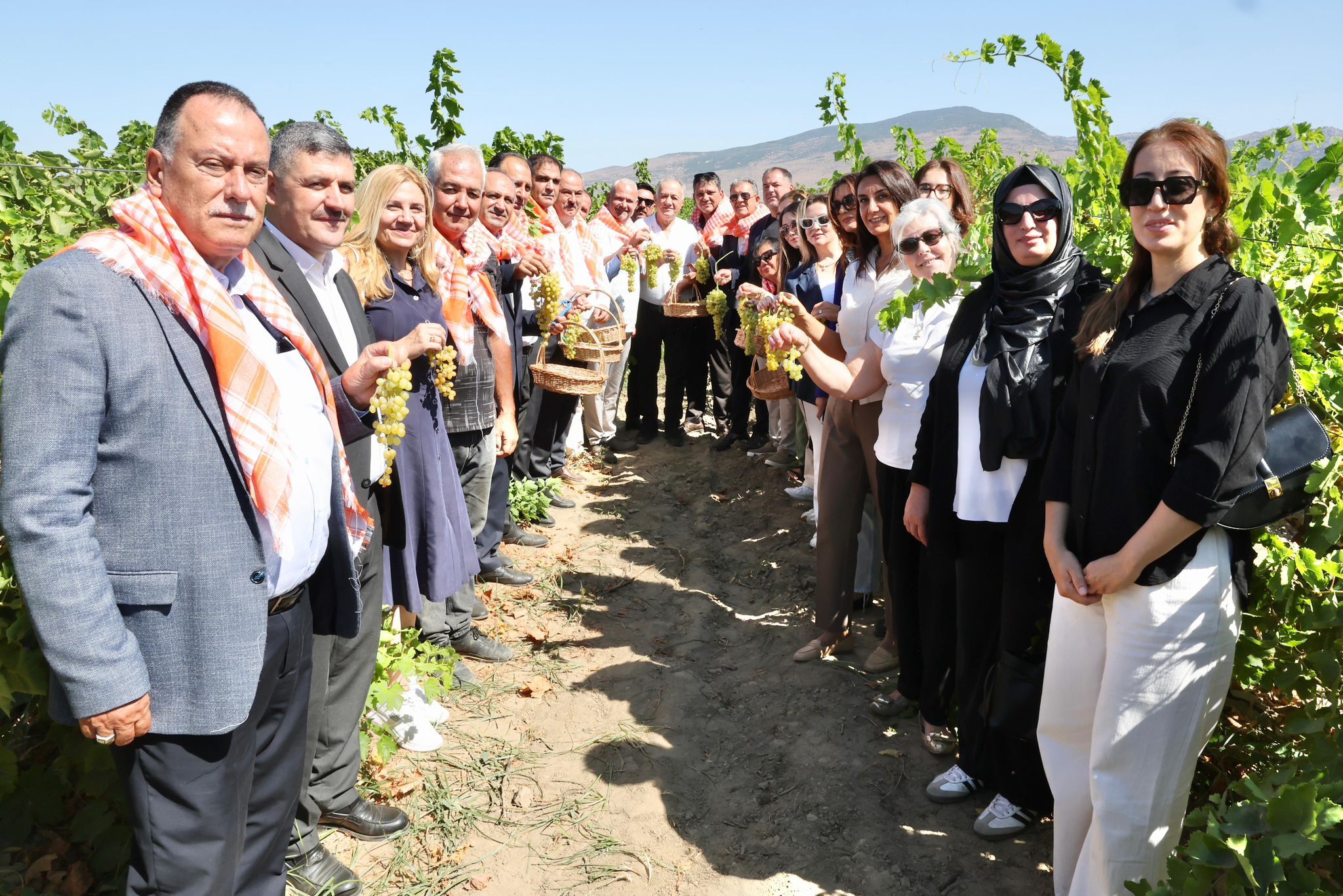 Menemen’de Üzüm (1)