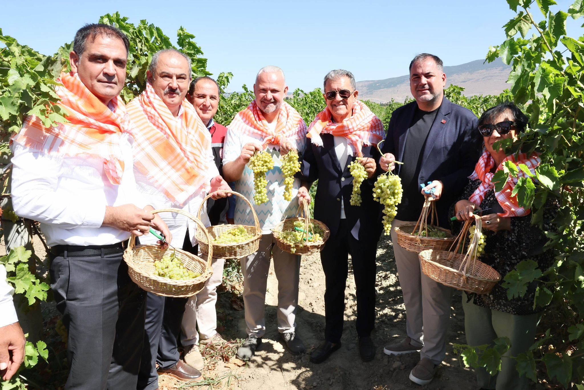 Menemen’de Üzüm (4)