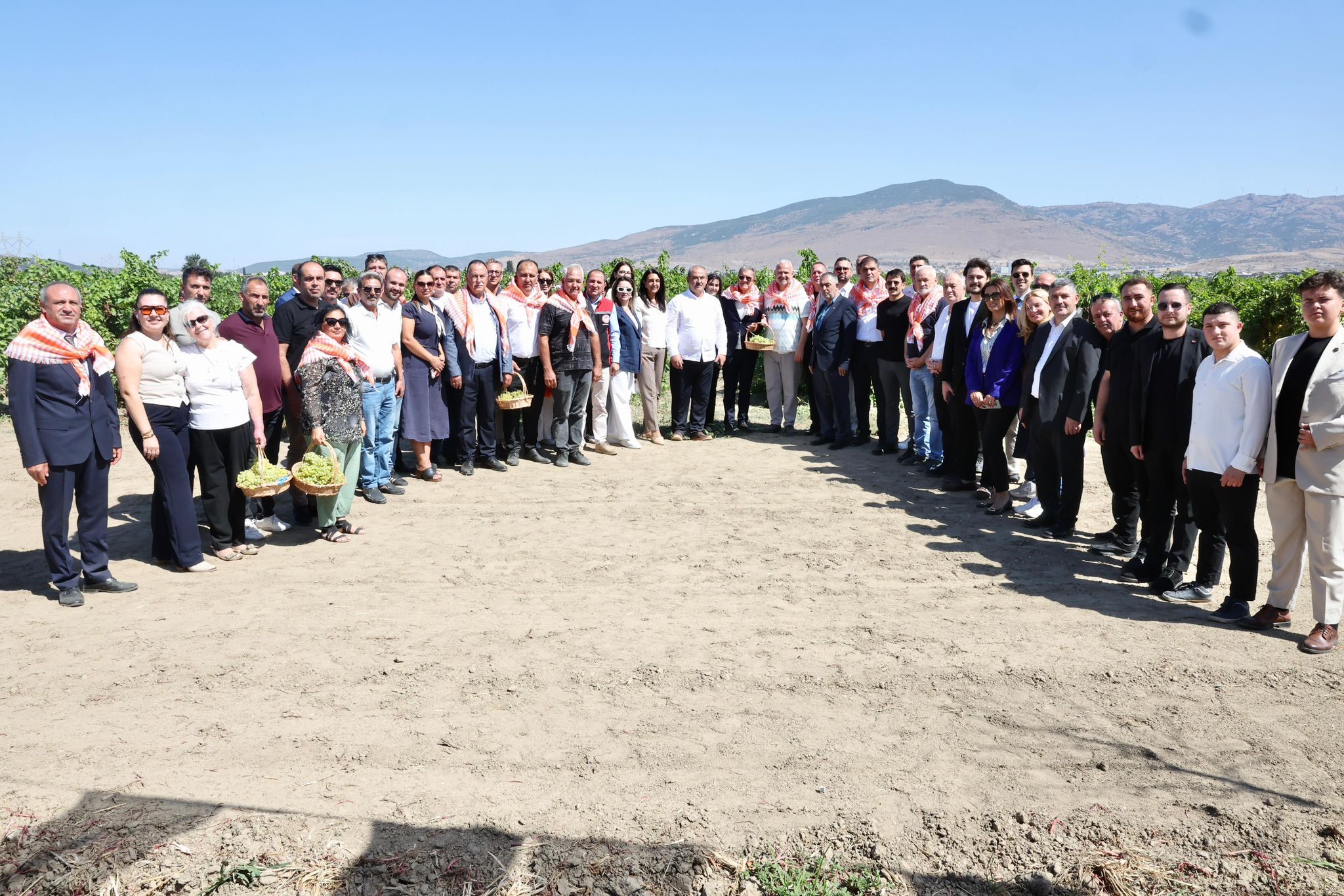 Menemen’de Üzüm (5)