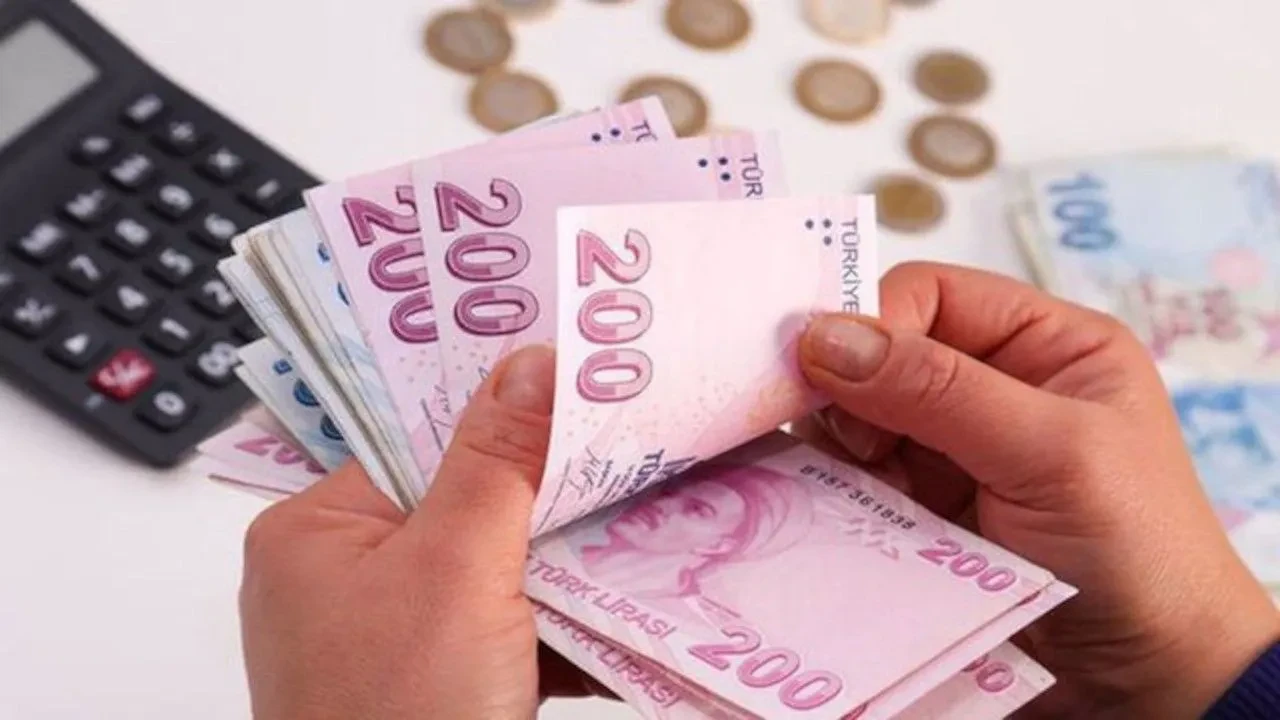 Mevduat Hesaplari Sil Bastan Bir Ay Sonunda 43 Bin Tl Gelir Getiriyor 3358195 Photogallery 6