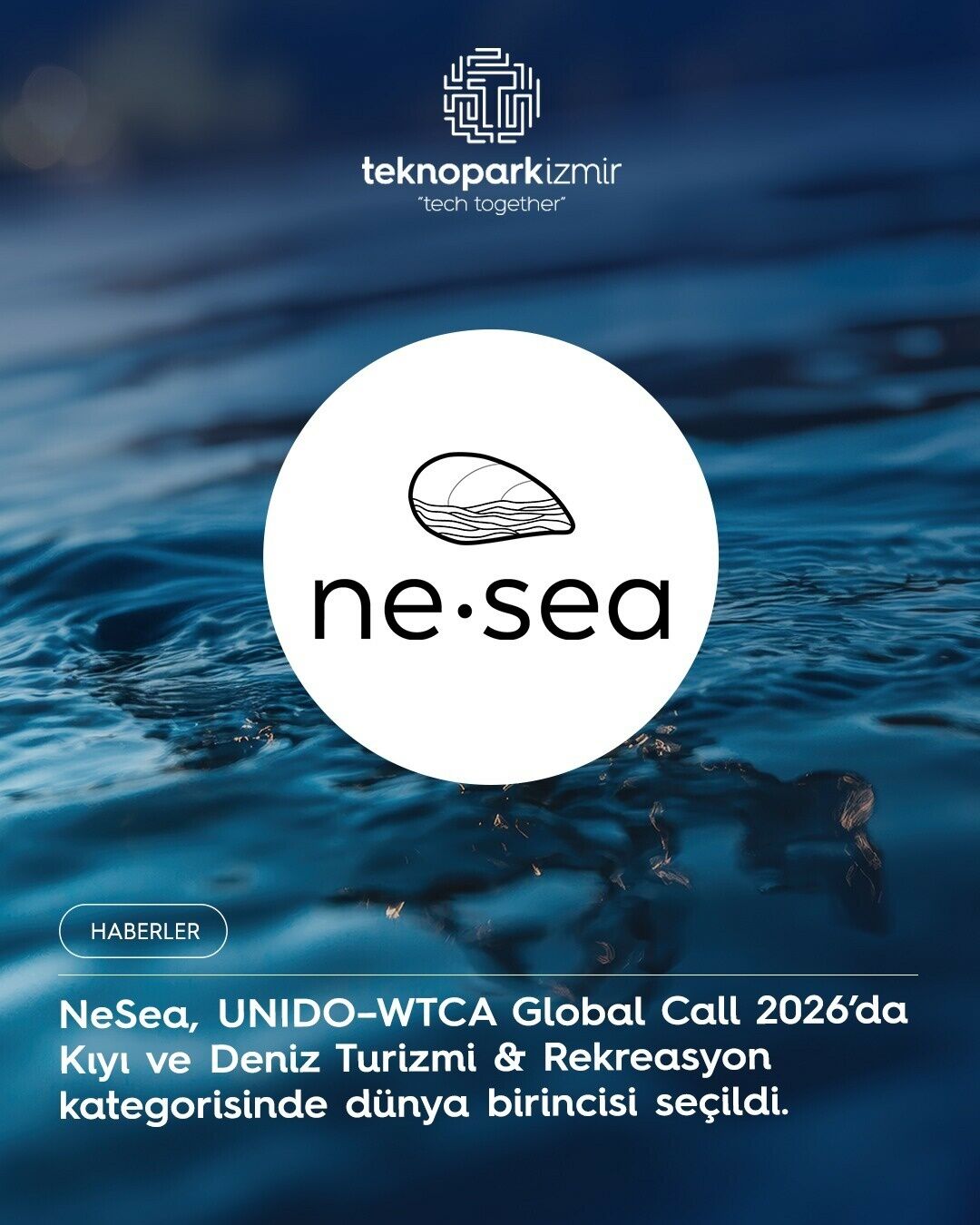 N E S E A M A V I E K O N O M I Y A R I S M A S I N D A D U N Y A B 1495113 444807