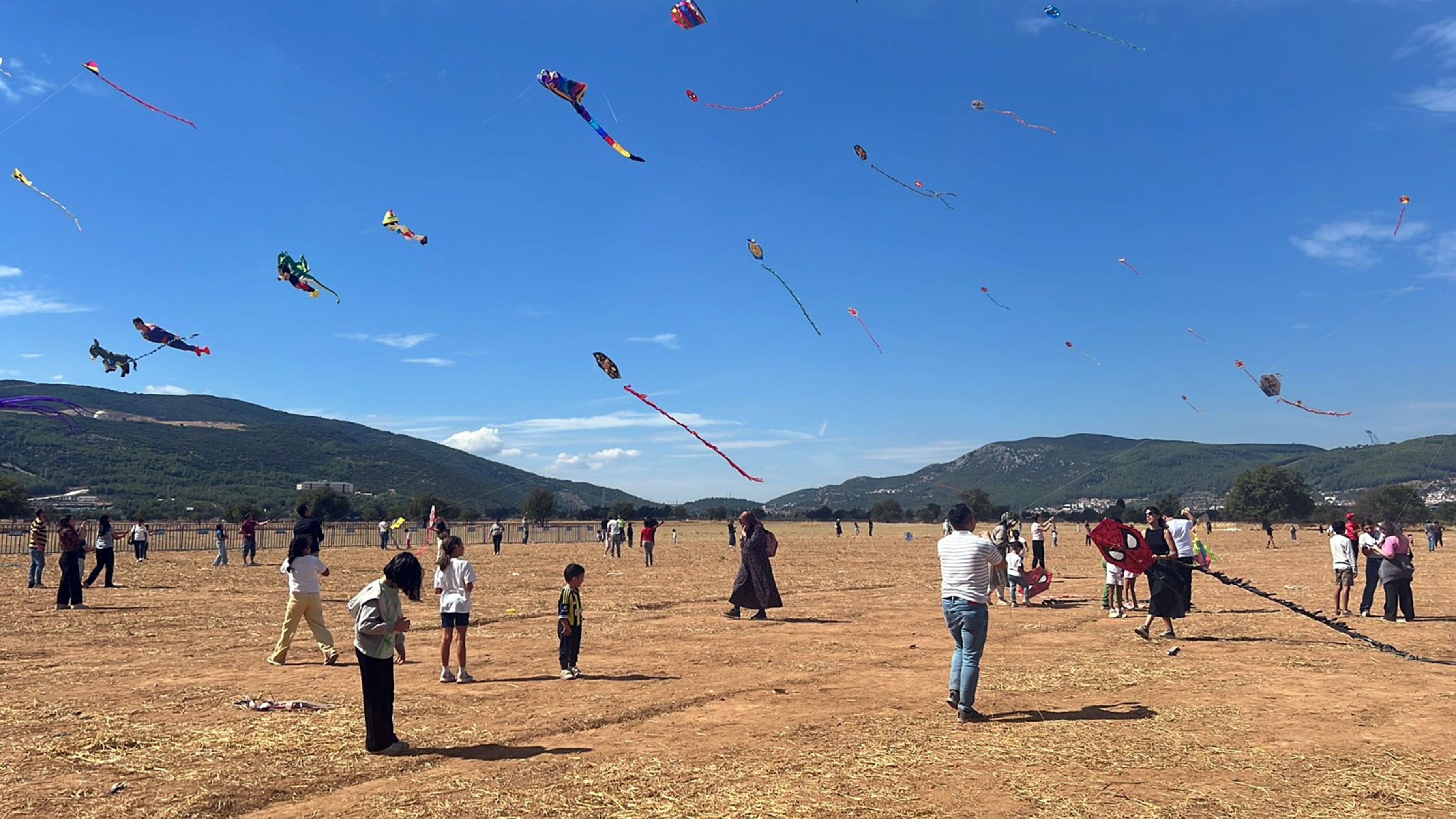 Uçurtmalar Menteşe’de Gökyüzünü Renklendirdi (2)