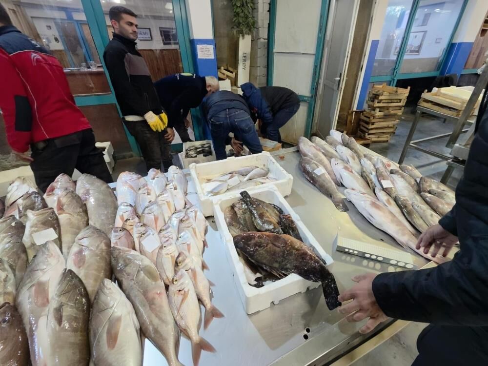Balık Hali’nde denetim: 45 kilo su ürününe el konuldu!