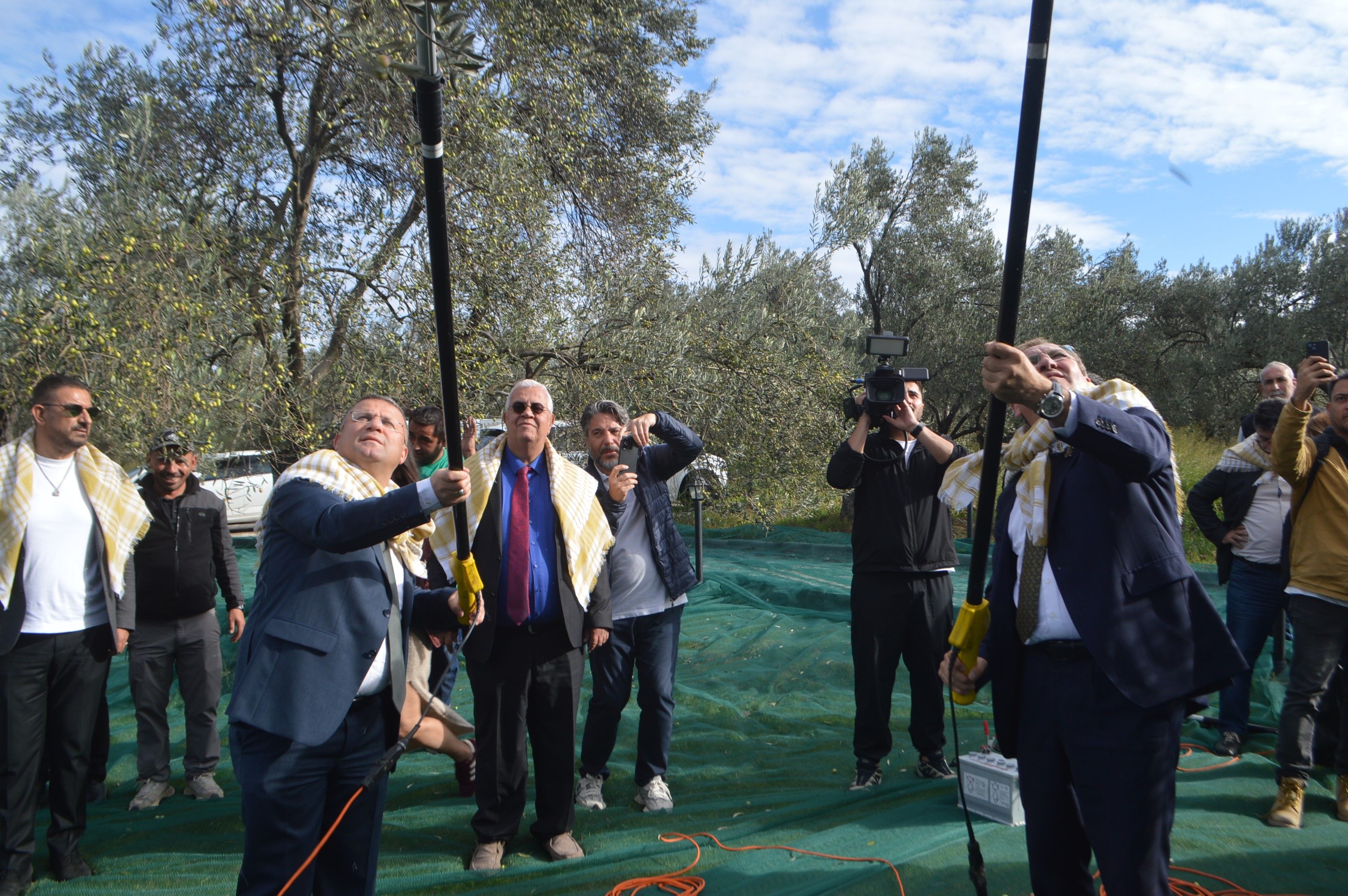 Ayvalık'ta 21. Uluslararası Zeytin Hasat Festivali'nde Hasat Heyecanı (2)