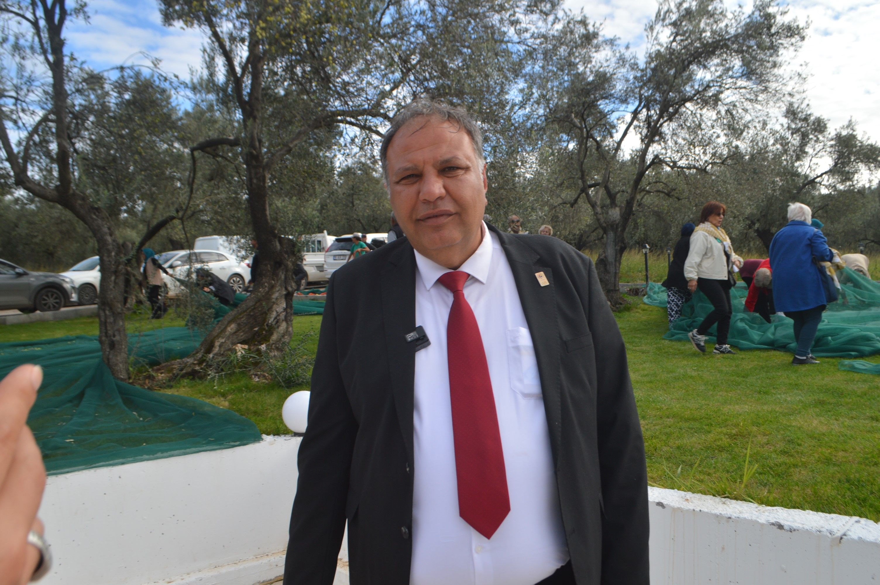 Ayvalık'ta 21. Uluslararası Zeytin Hasat Festivali'nde Hasat Heyecanı