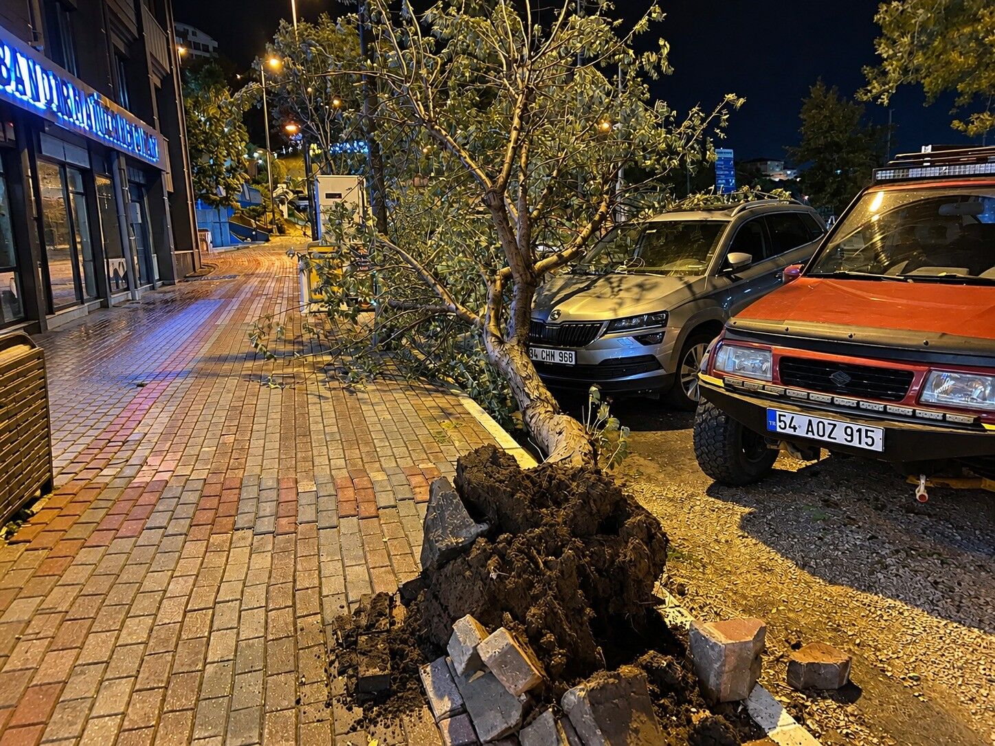 Bandırma’da Fırtına Ağacı Devirdi, Park Halindeki Araç Zarar Gördü,-1