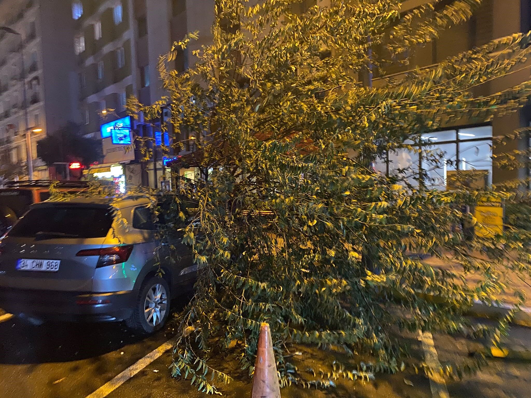 Bandırma’da Fırtına Ağacı Devirdi, Park Halindeki Araç Zarar Gördü (2)
