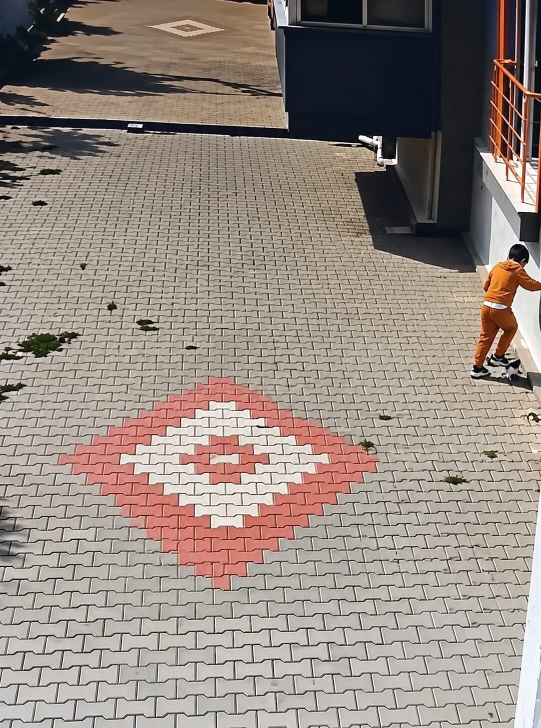 Bandırma’da Kediye Kötü Muamele Tepki Çekti (2)