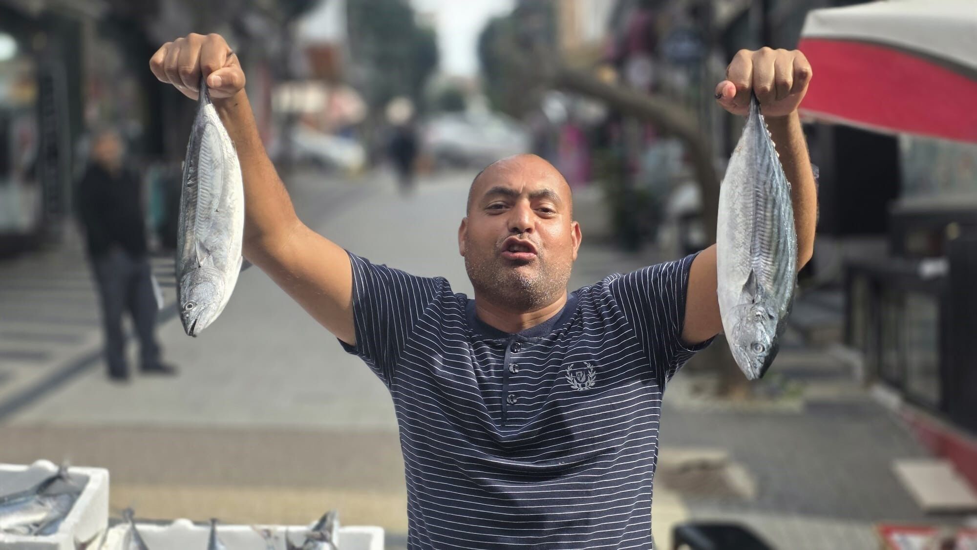 Bandırma’da palamutun fiyatı 75 liraya düştü