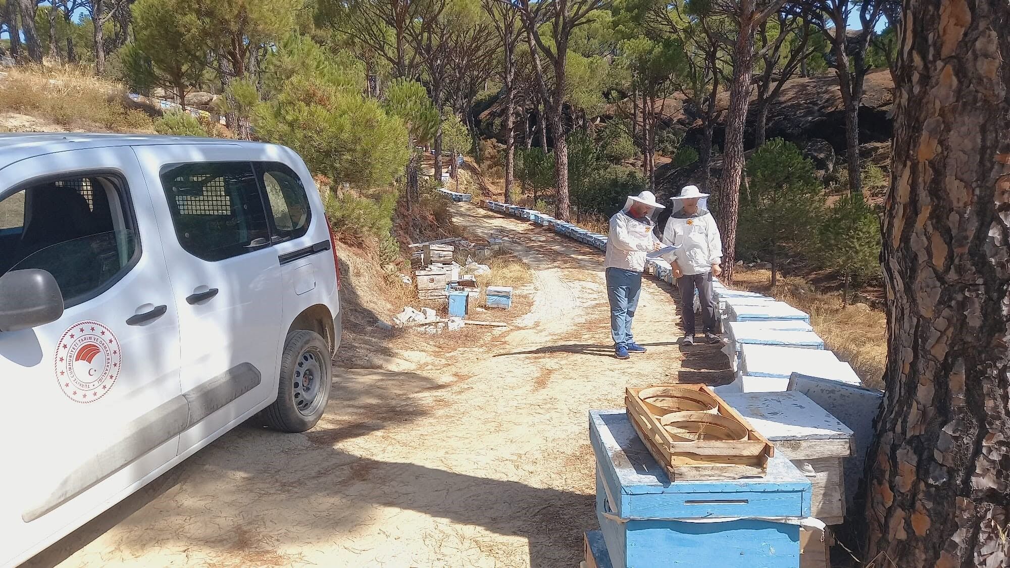 Bozdoğan’da Arılı Kovanlar Için Saha Çalışması (2)