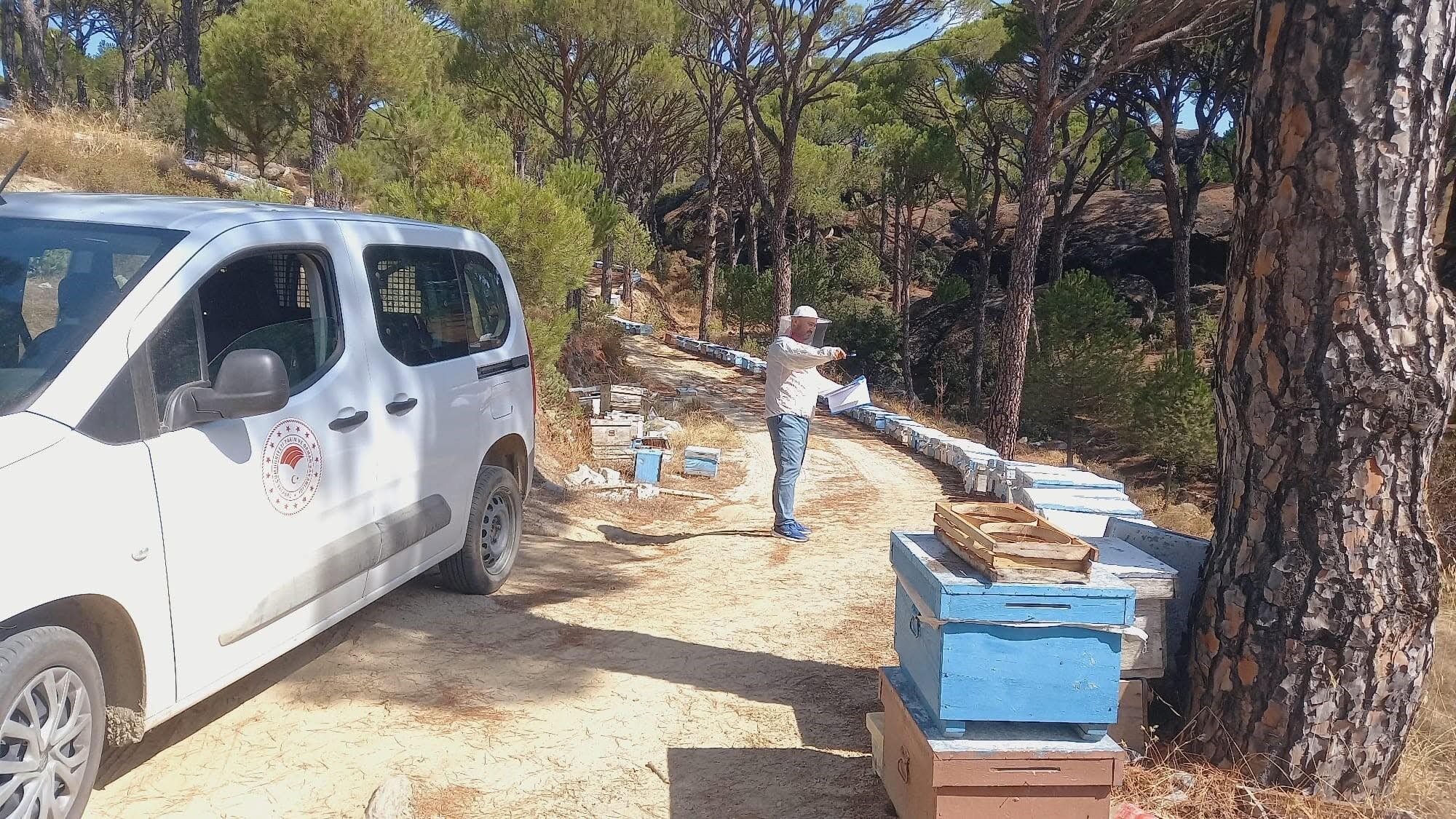 Bozdoğan’da Arılı Kovanlar Için Saha Çalışması