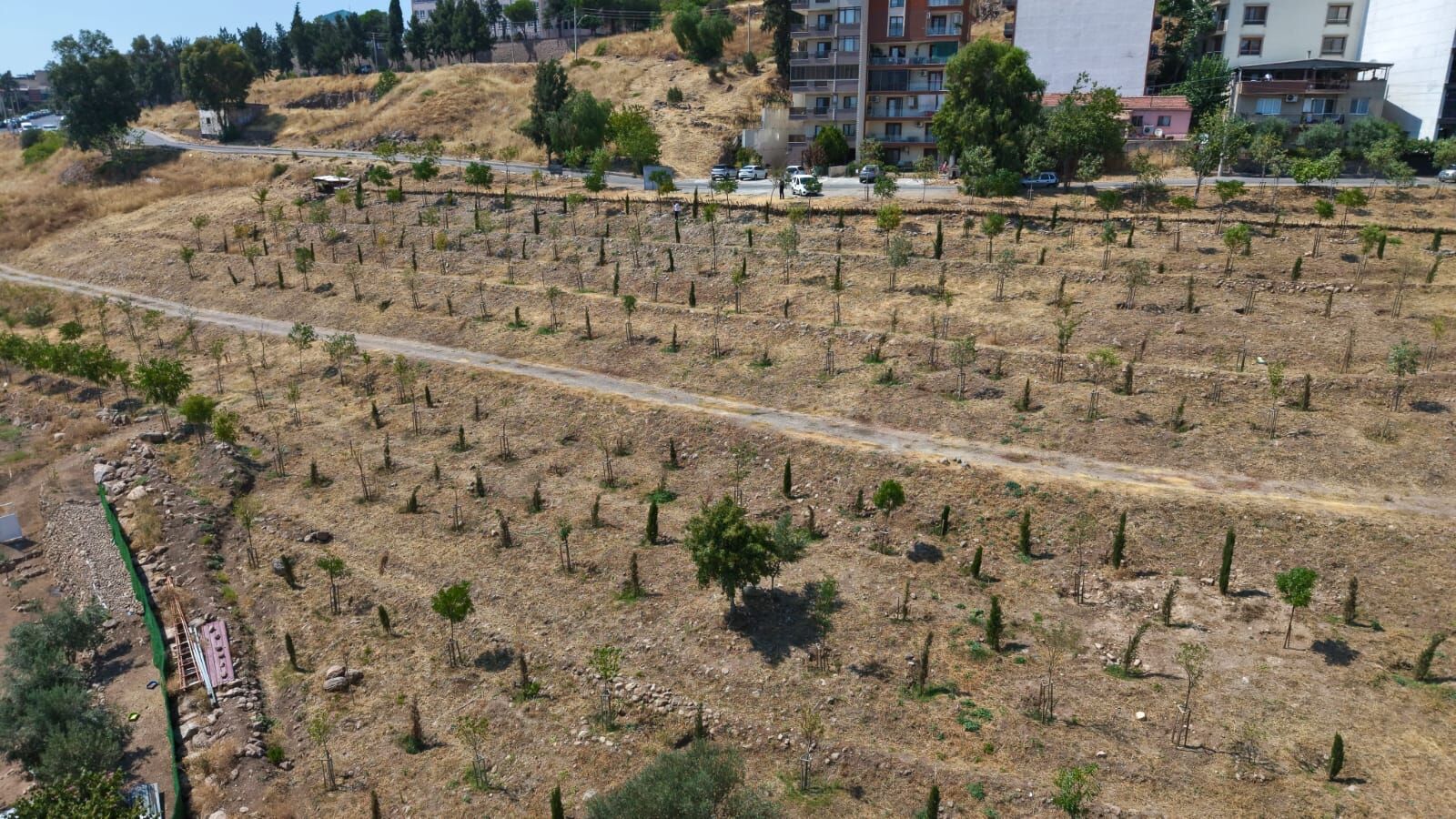 İzmir’de 13 Ağaçlandırma Sahasında 41 Bin Bitki Toprakla Buluşturuldu (6)