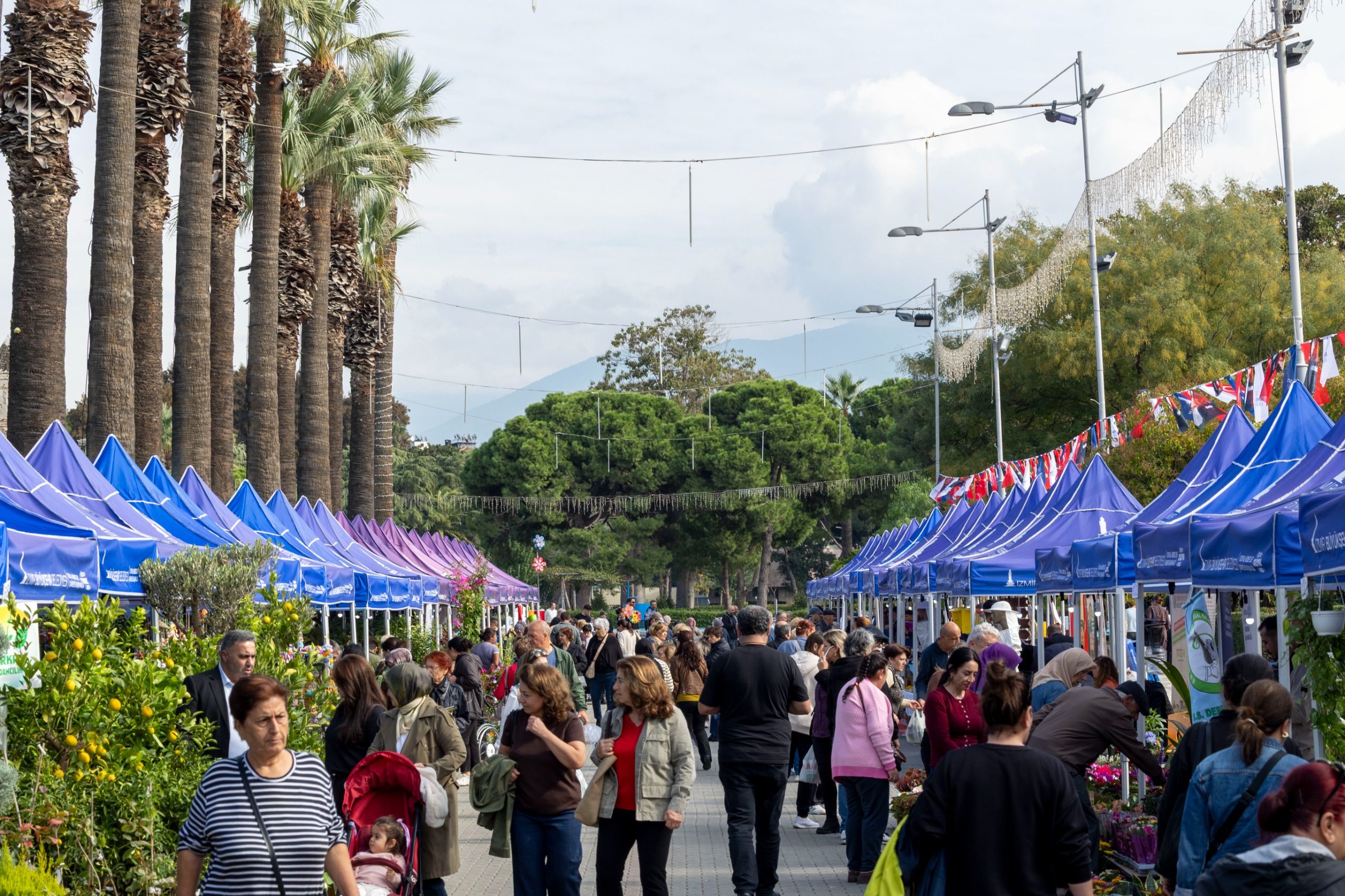 İzmir’de Bitki Ve Bal Festivali Kültürpark’ta Başladı (2)