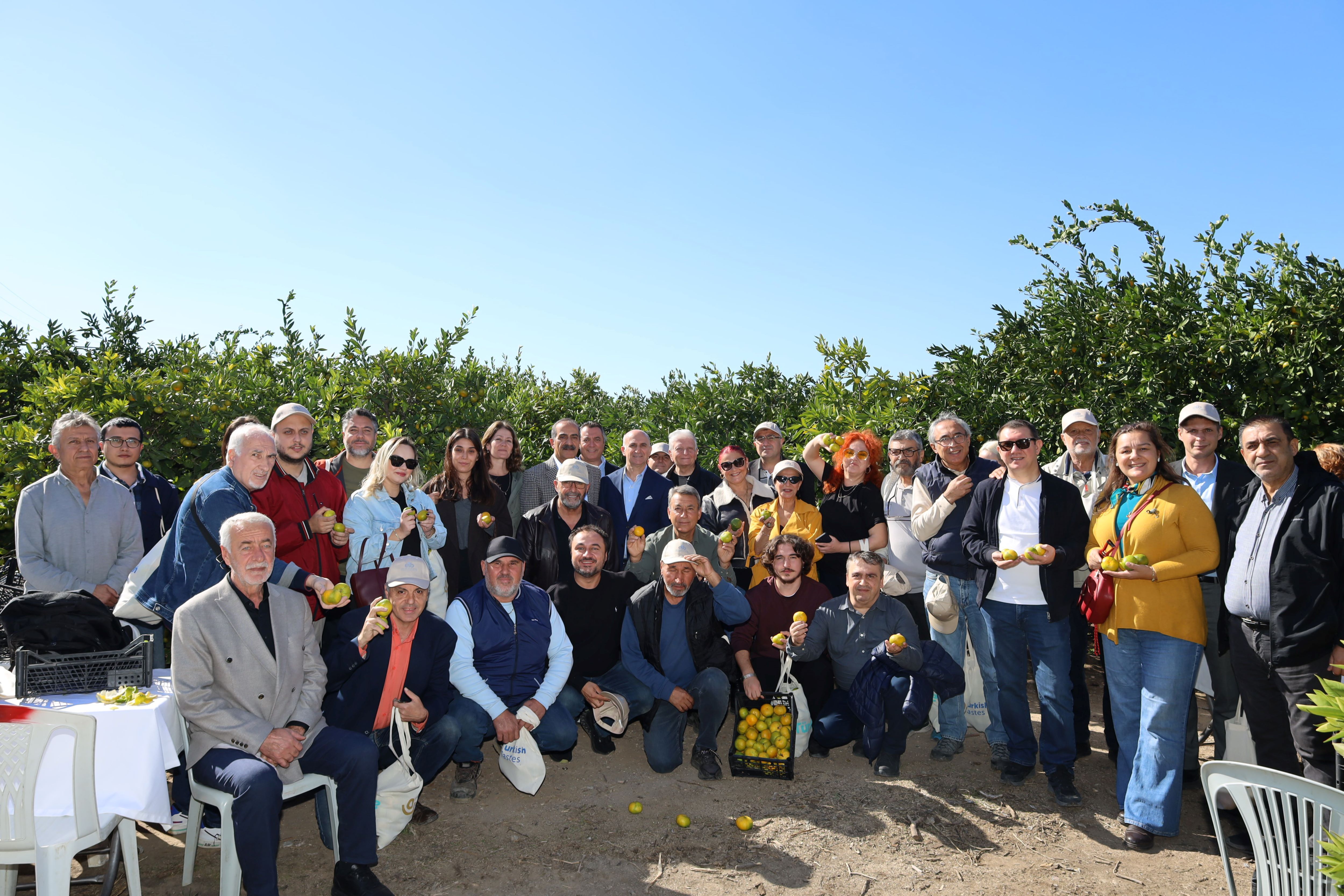 İzmir’in Gümüldür Mandalina (4)