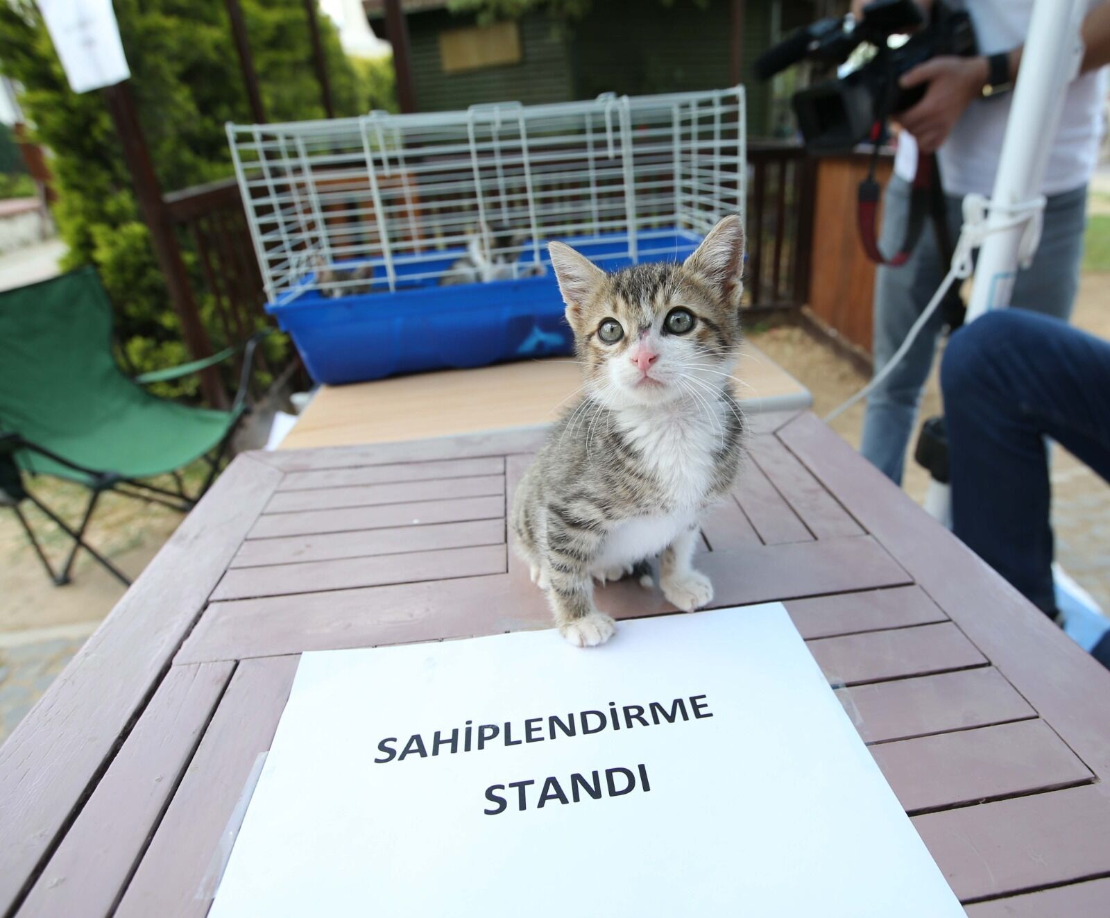 Karşıyaka’da Sahiplendirme Seferberliği (1)